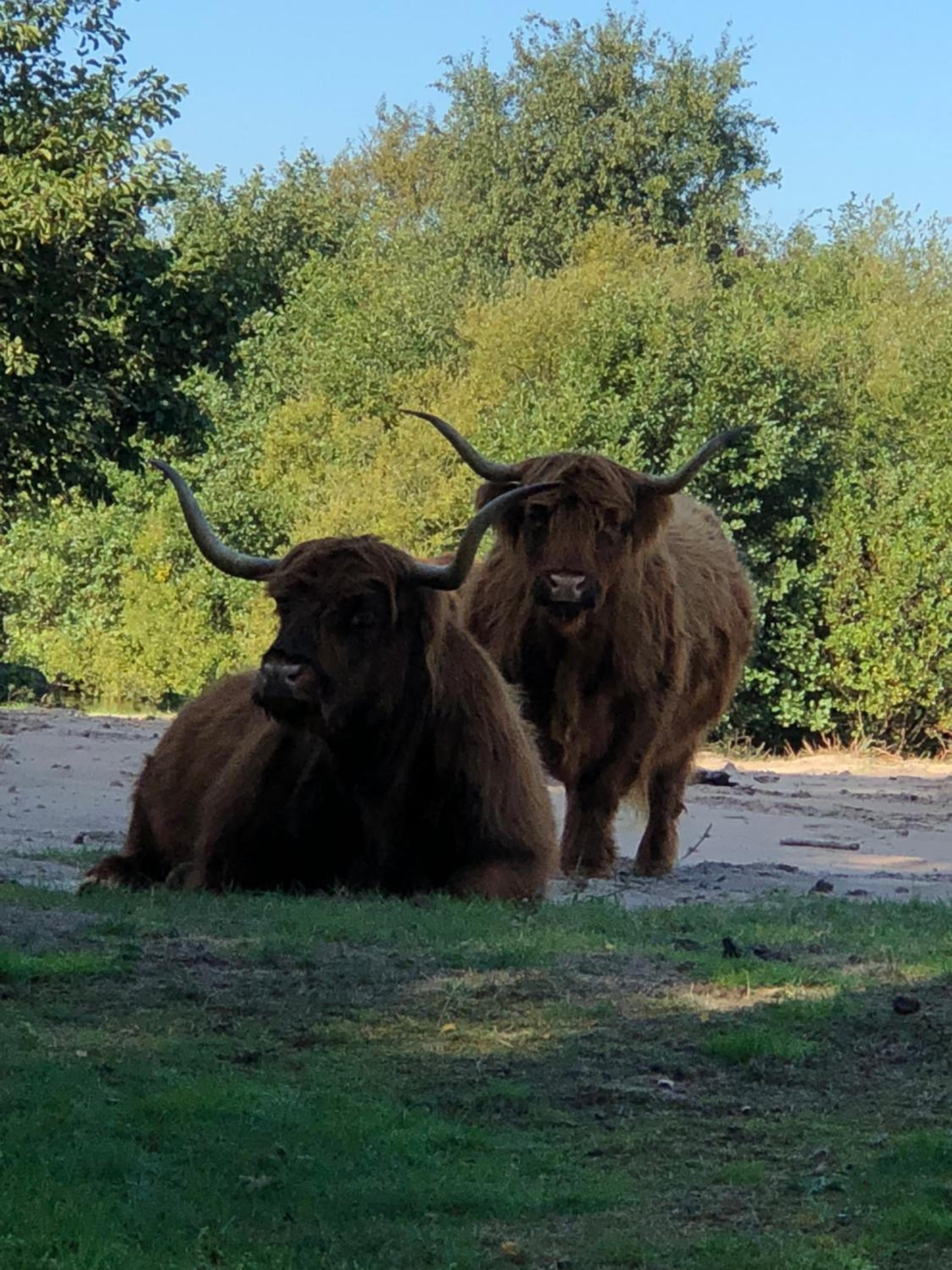 Pension Even Buiten