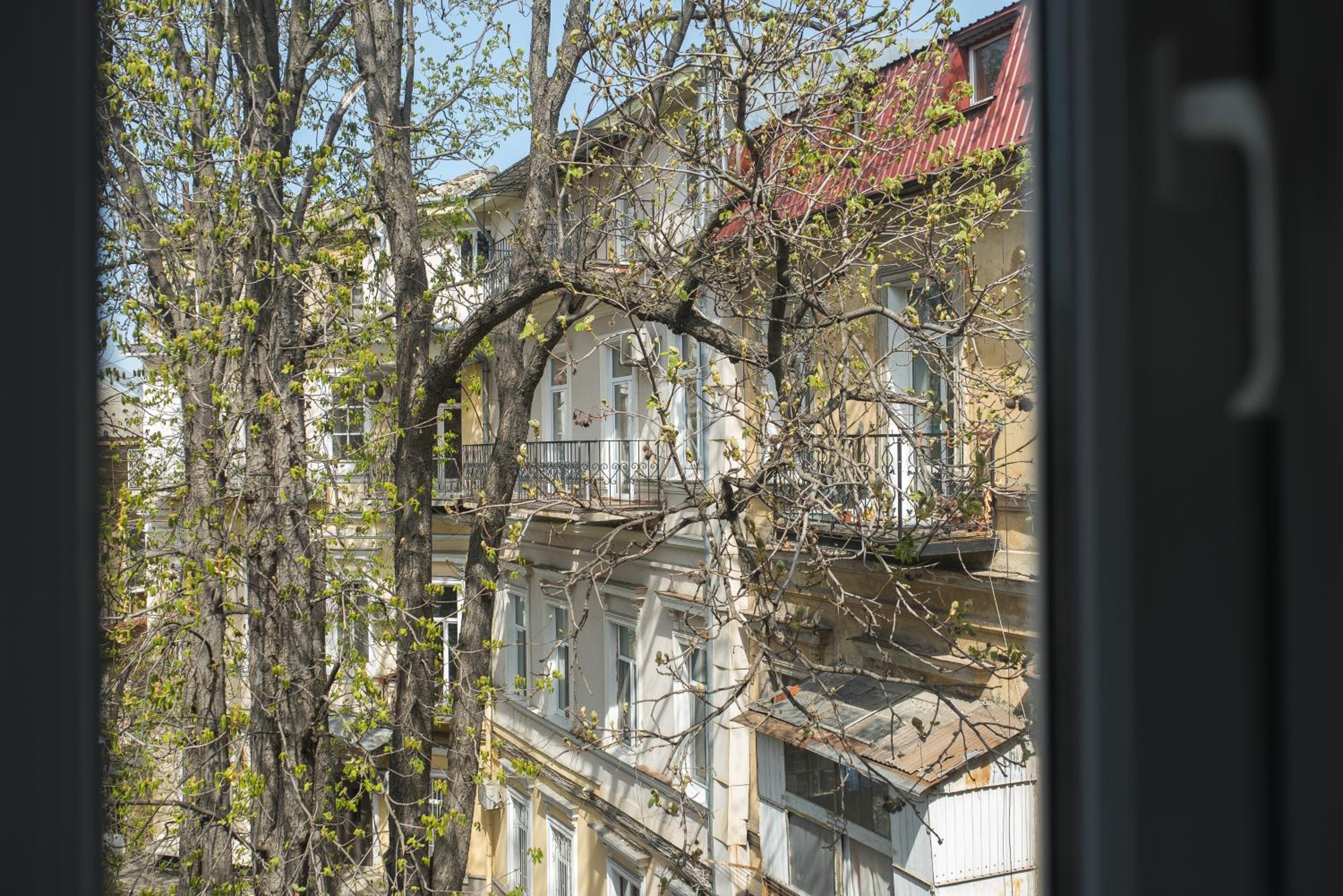 White Door Apartments view 4
