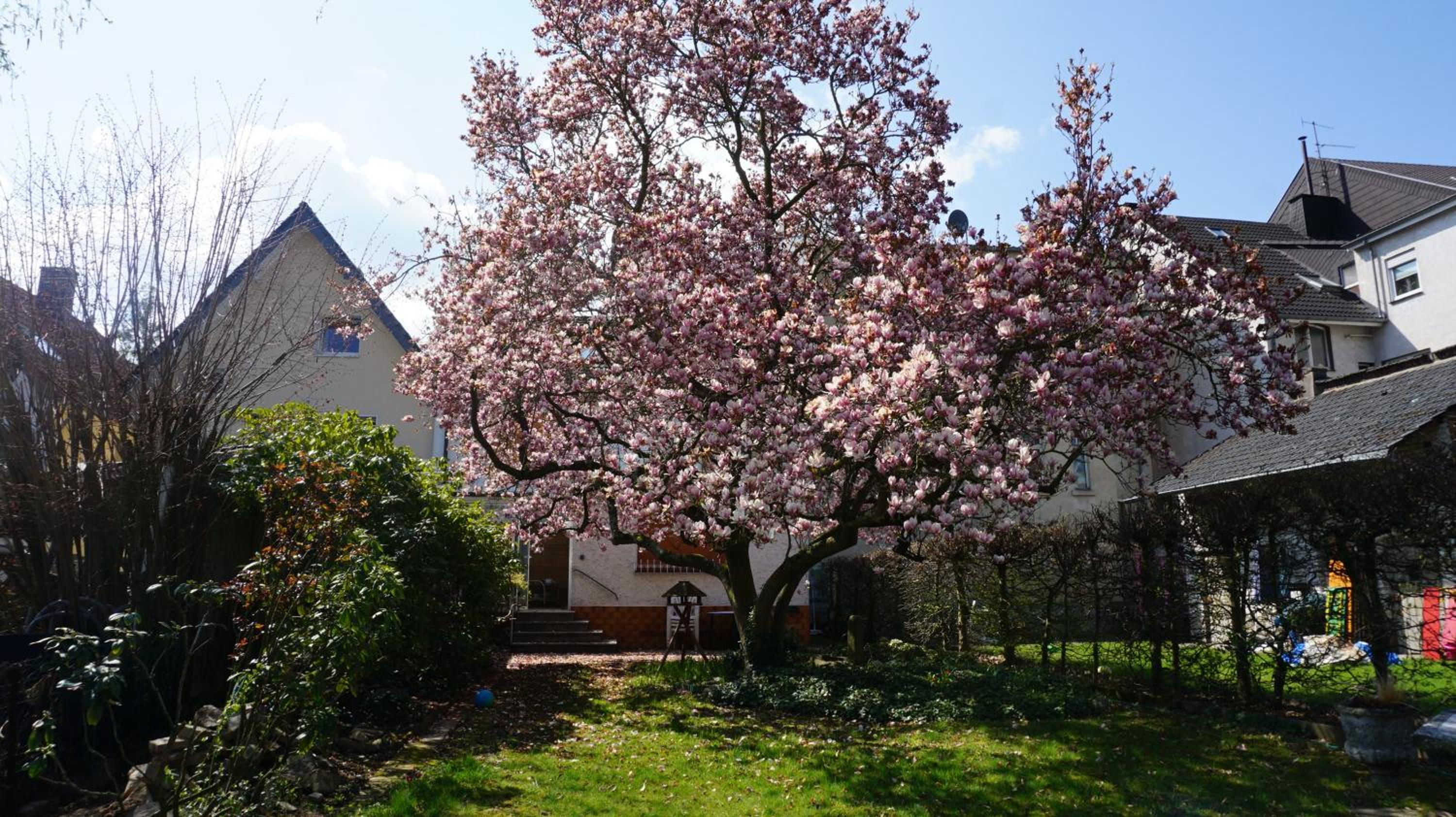 Ferienhaus MagnoliAhr
