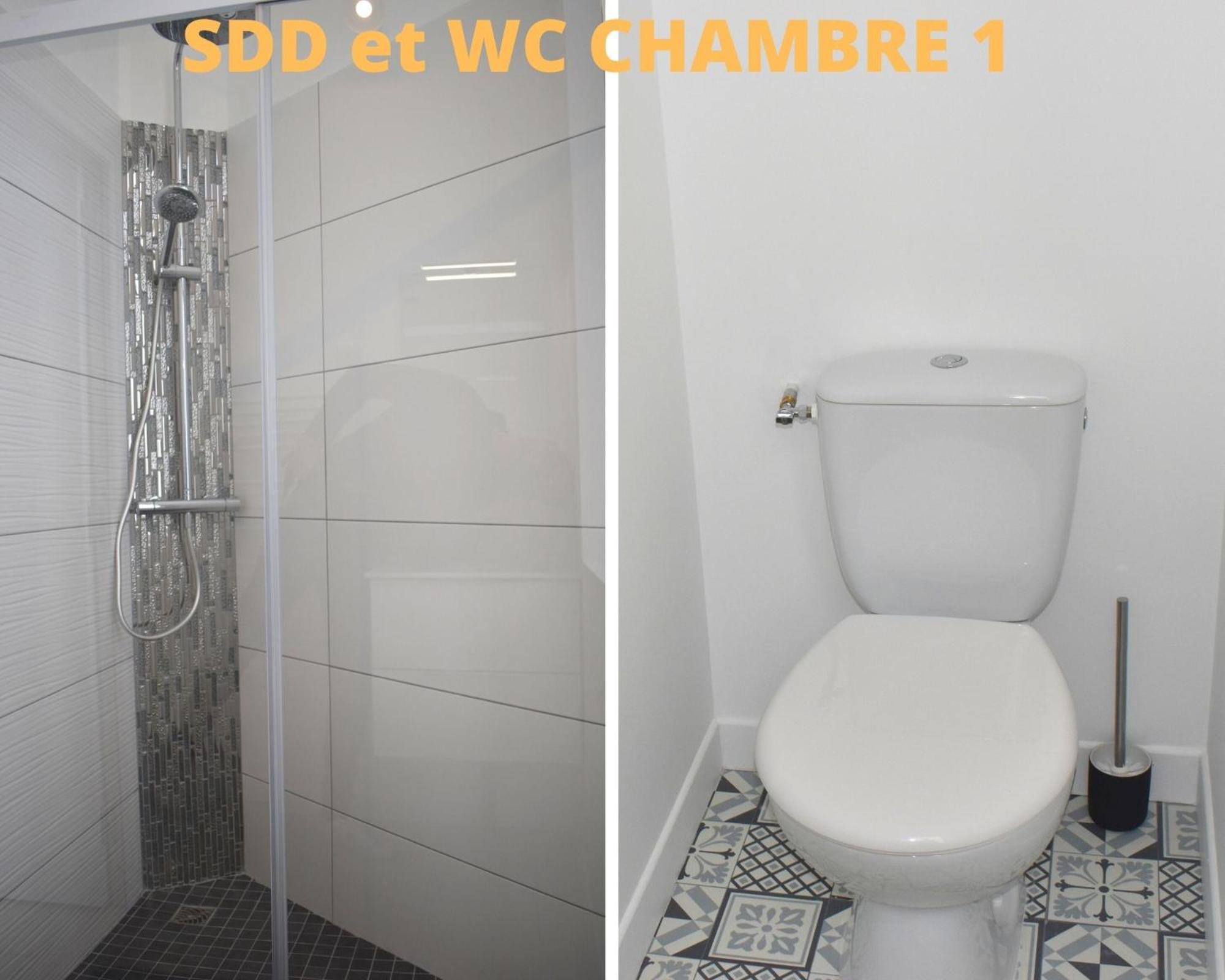 COLIVING TOUT CONFORT- LOOS LES LILLE-MAISON PARTAGEE-7 chambres-5 sdb-6WC-LOOS LES LILLE view 3