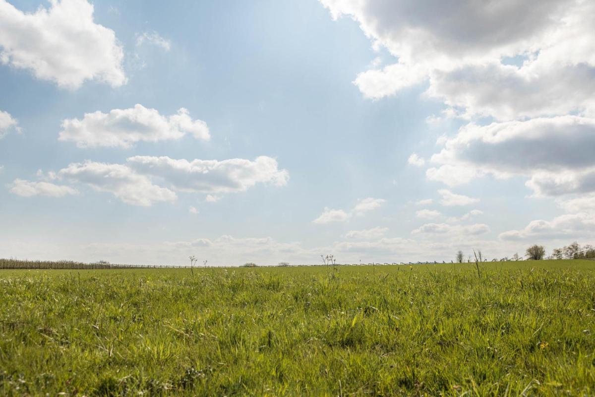 Ferienhof Dachsberg Weitblick