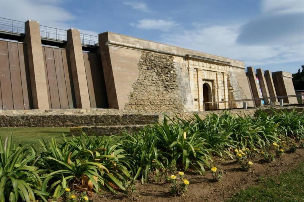Agi Montserrat photo 4