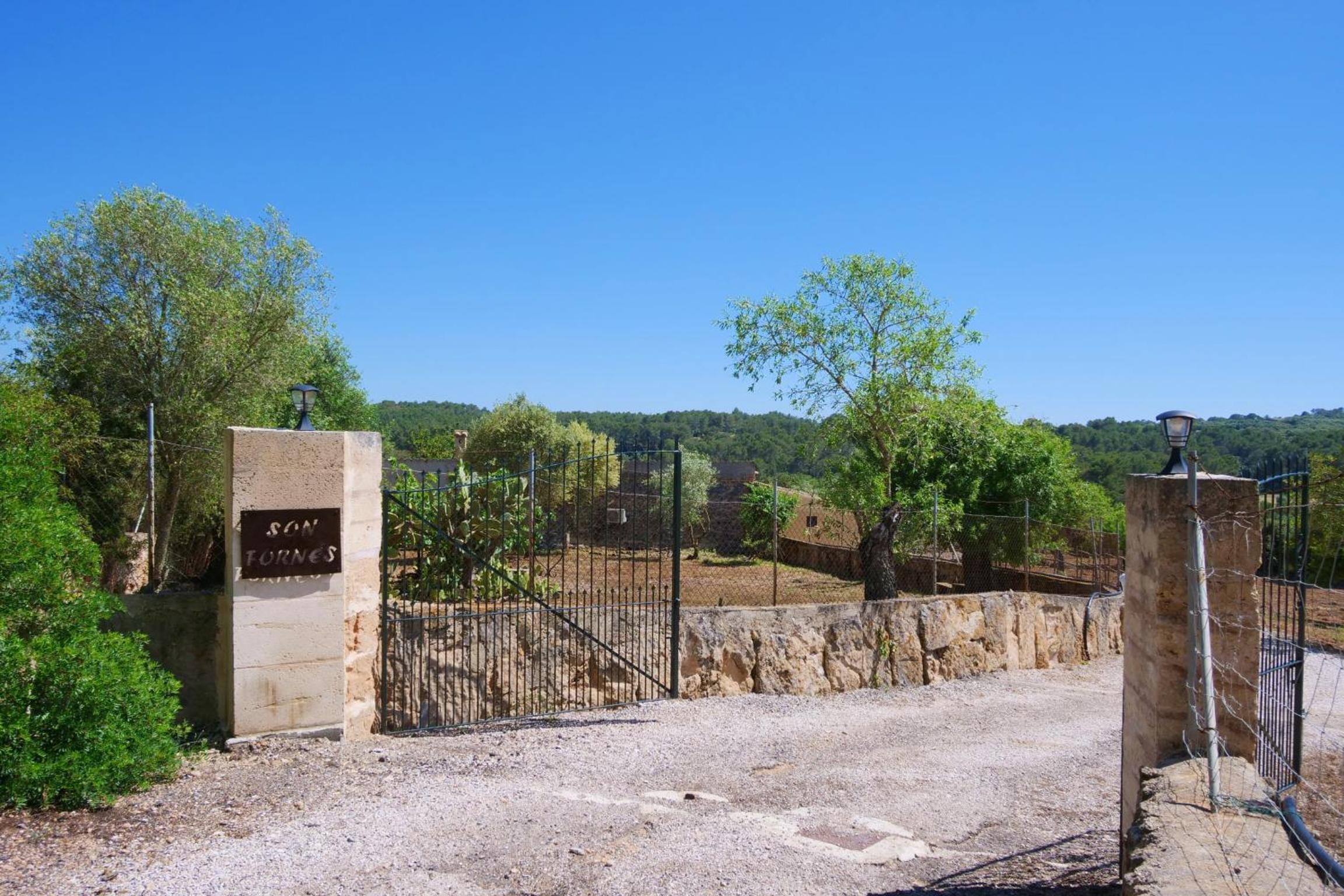 other