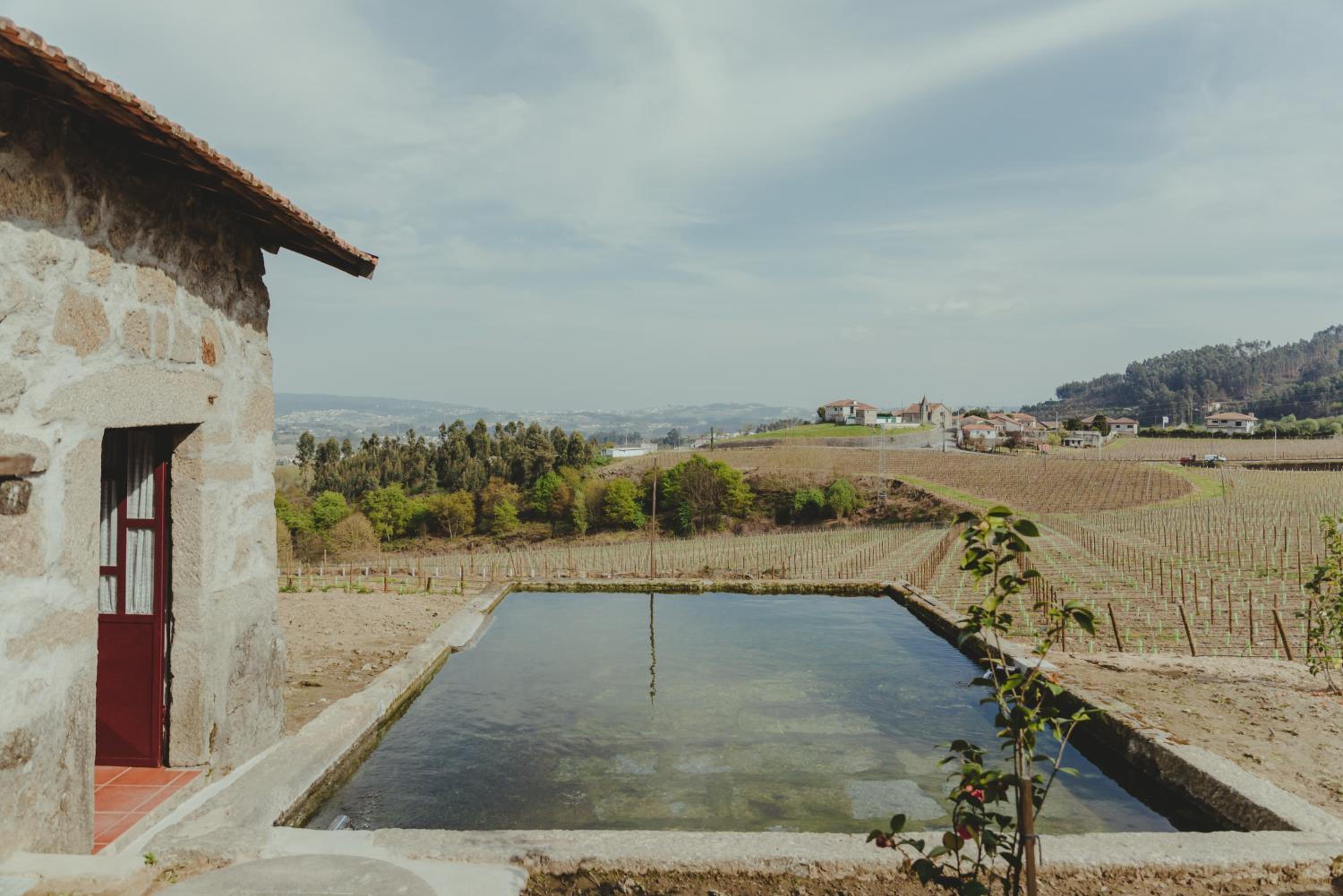 The FarmHouse I - Uma quinta deslumbrante view 3