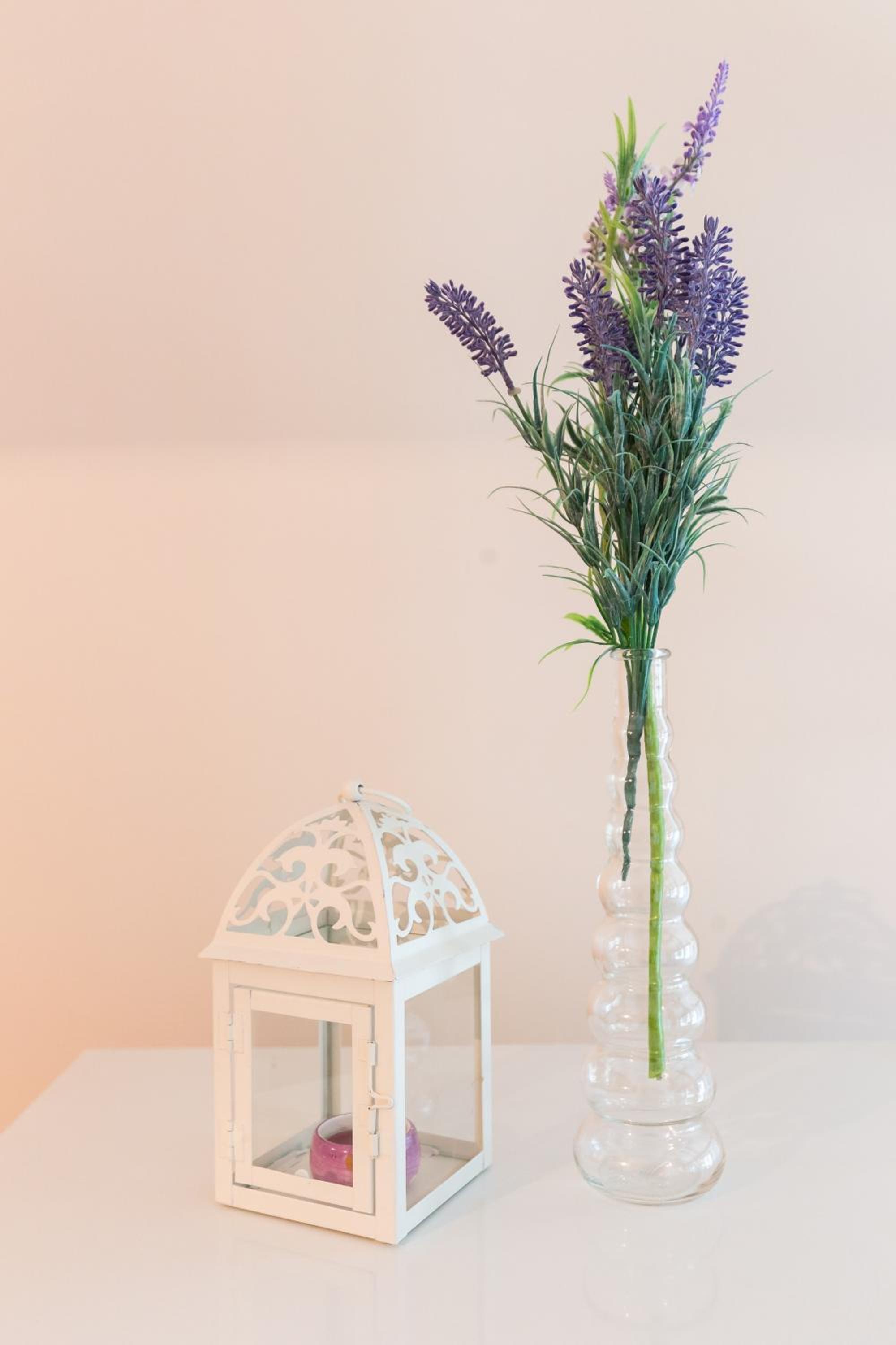 Apartment Ventula