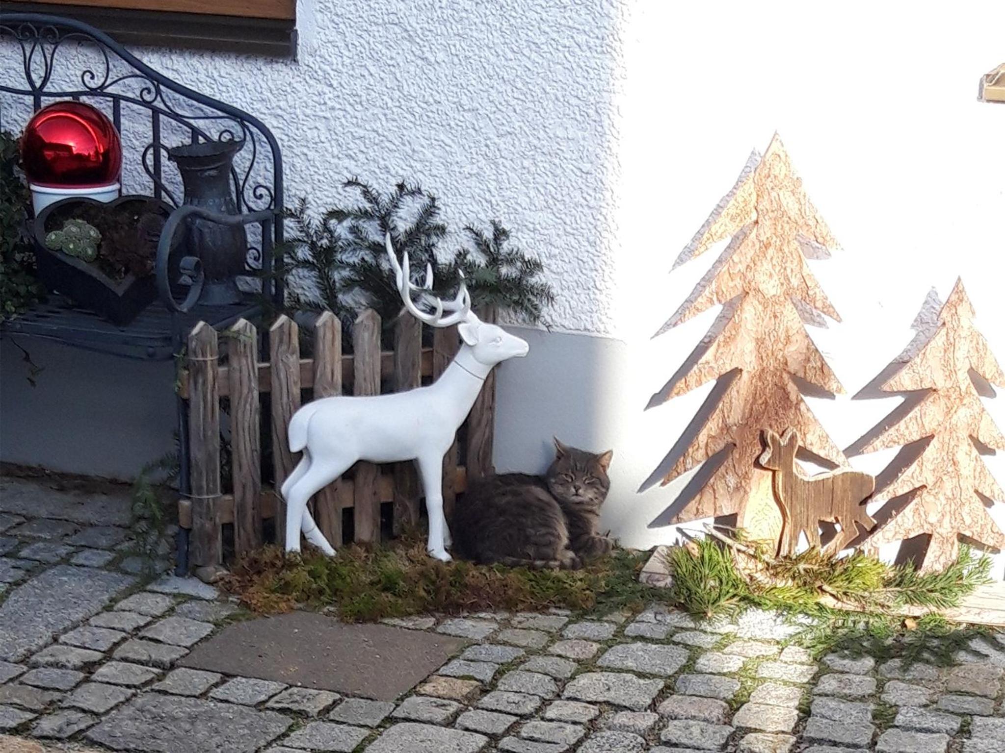 Feichtlhof view 2