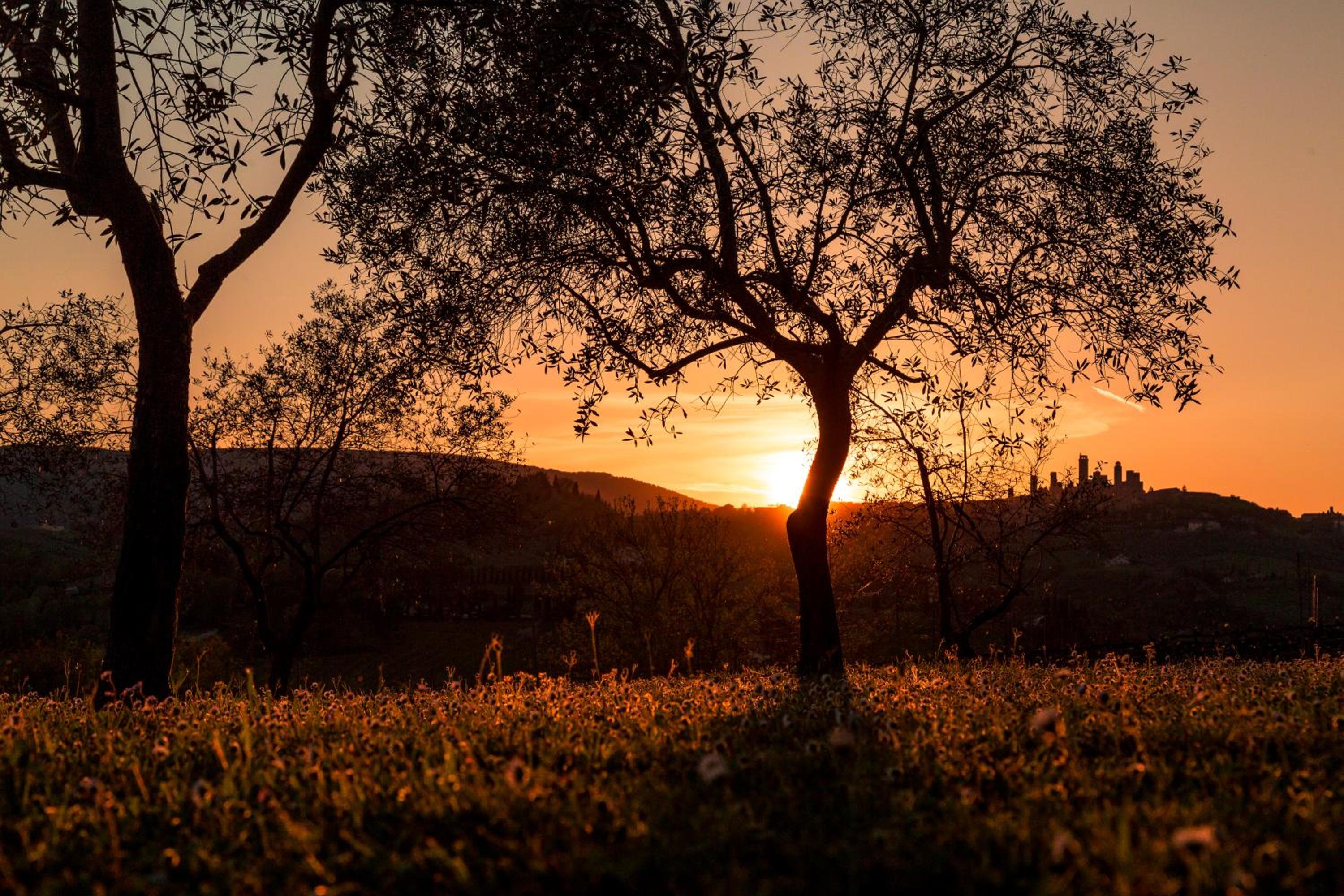 Agriturismo Il Segreto di Pietrafitta