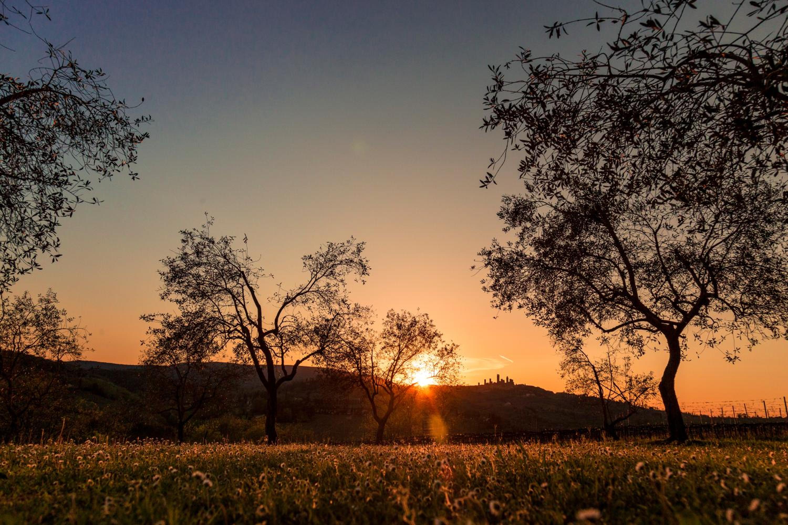 Agriturismo Il Segreto di Pietrafitta