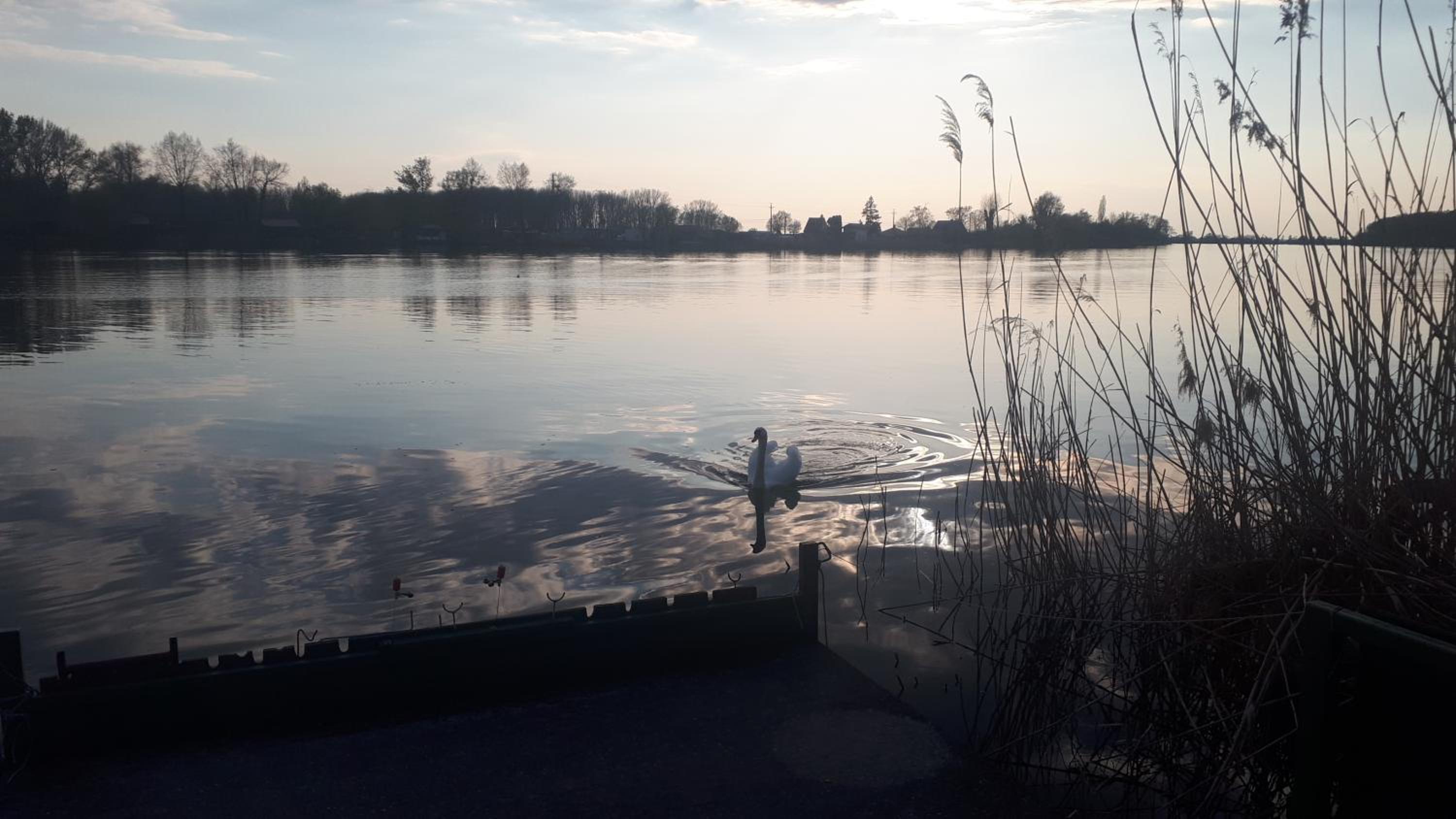 Photo 42