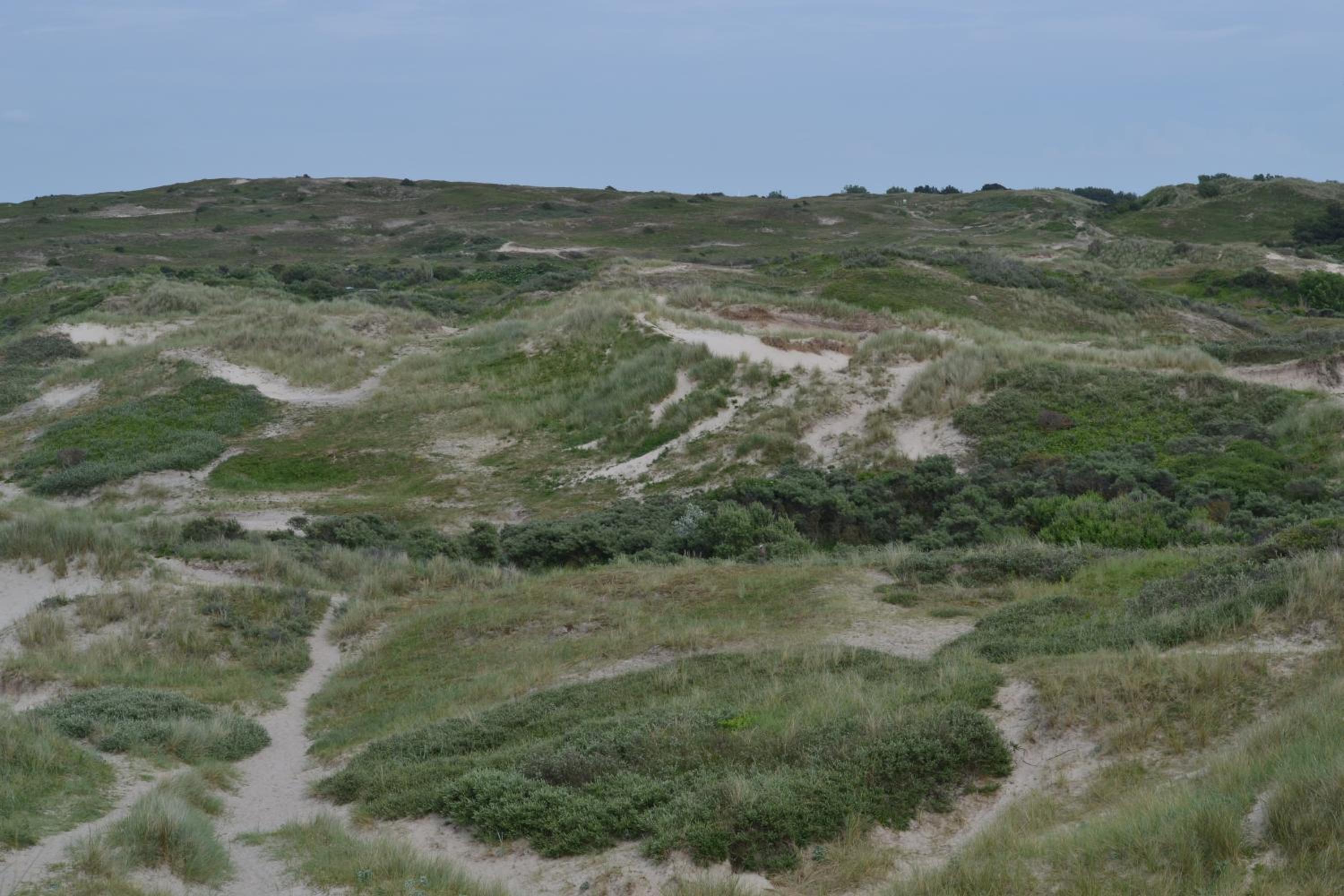 Photo 48