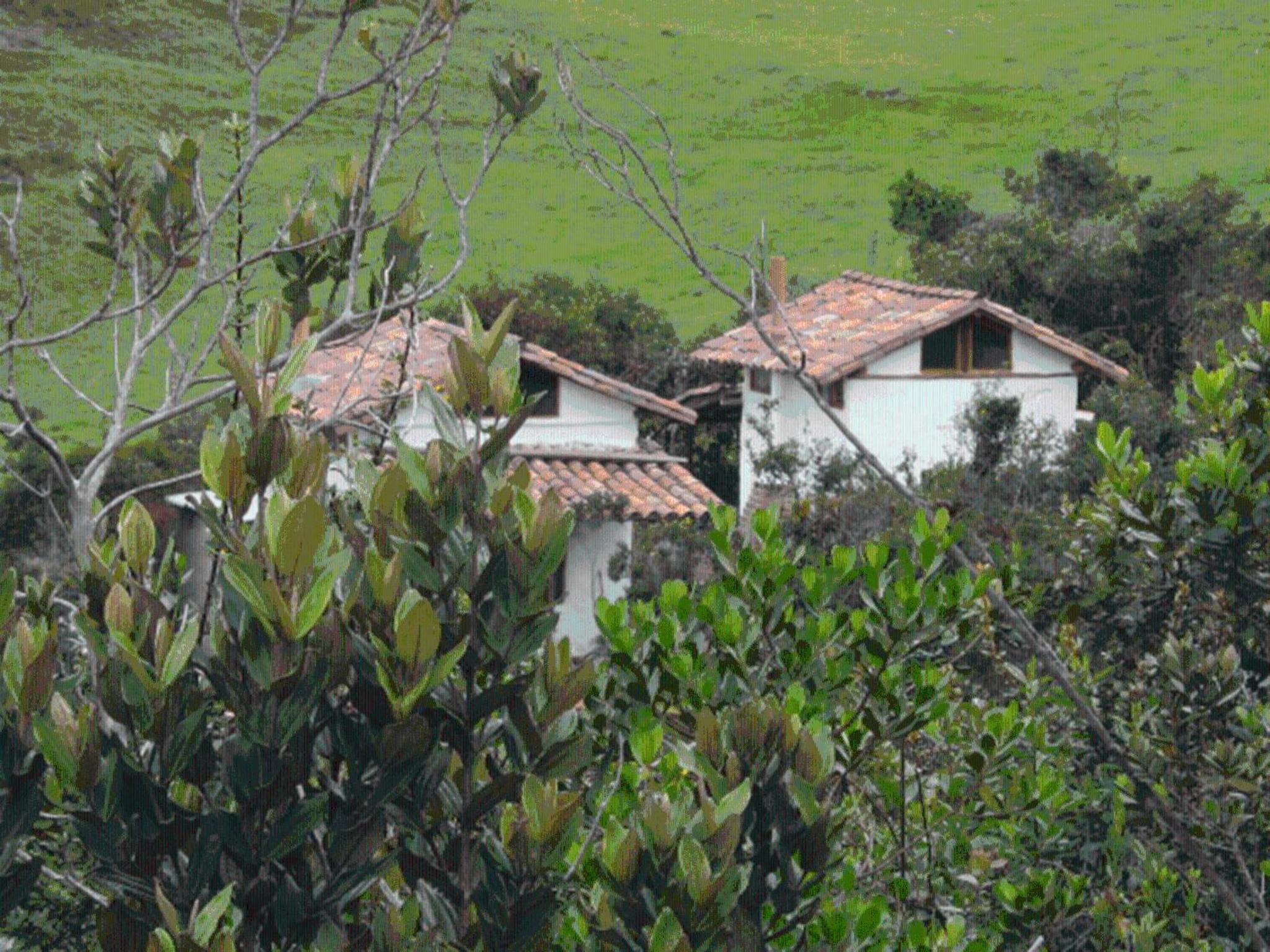Jardin Colibri RNT 33633 view 3