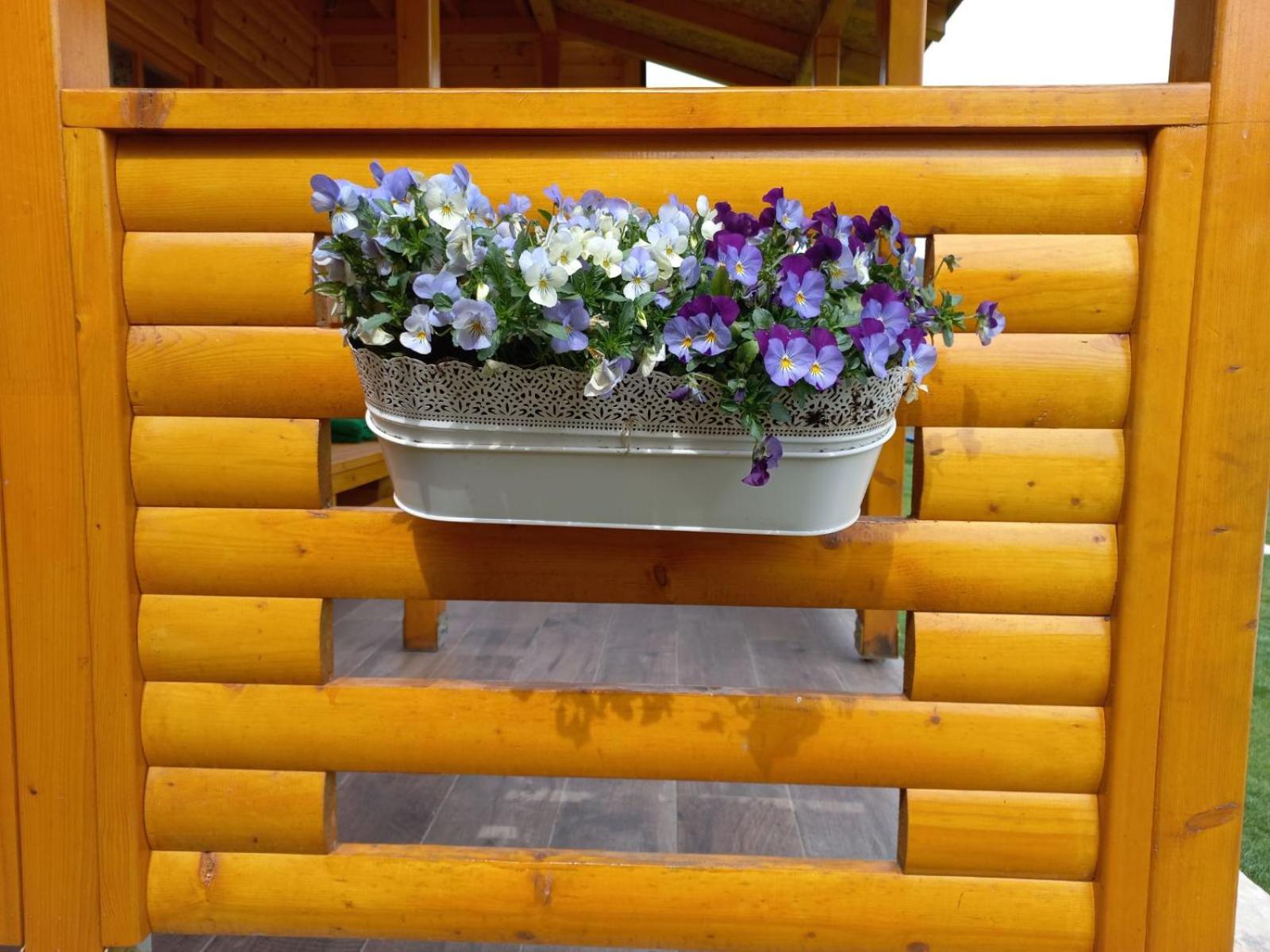 Photo 40