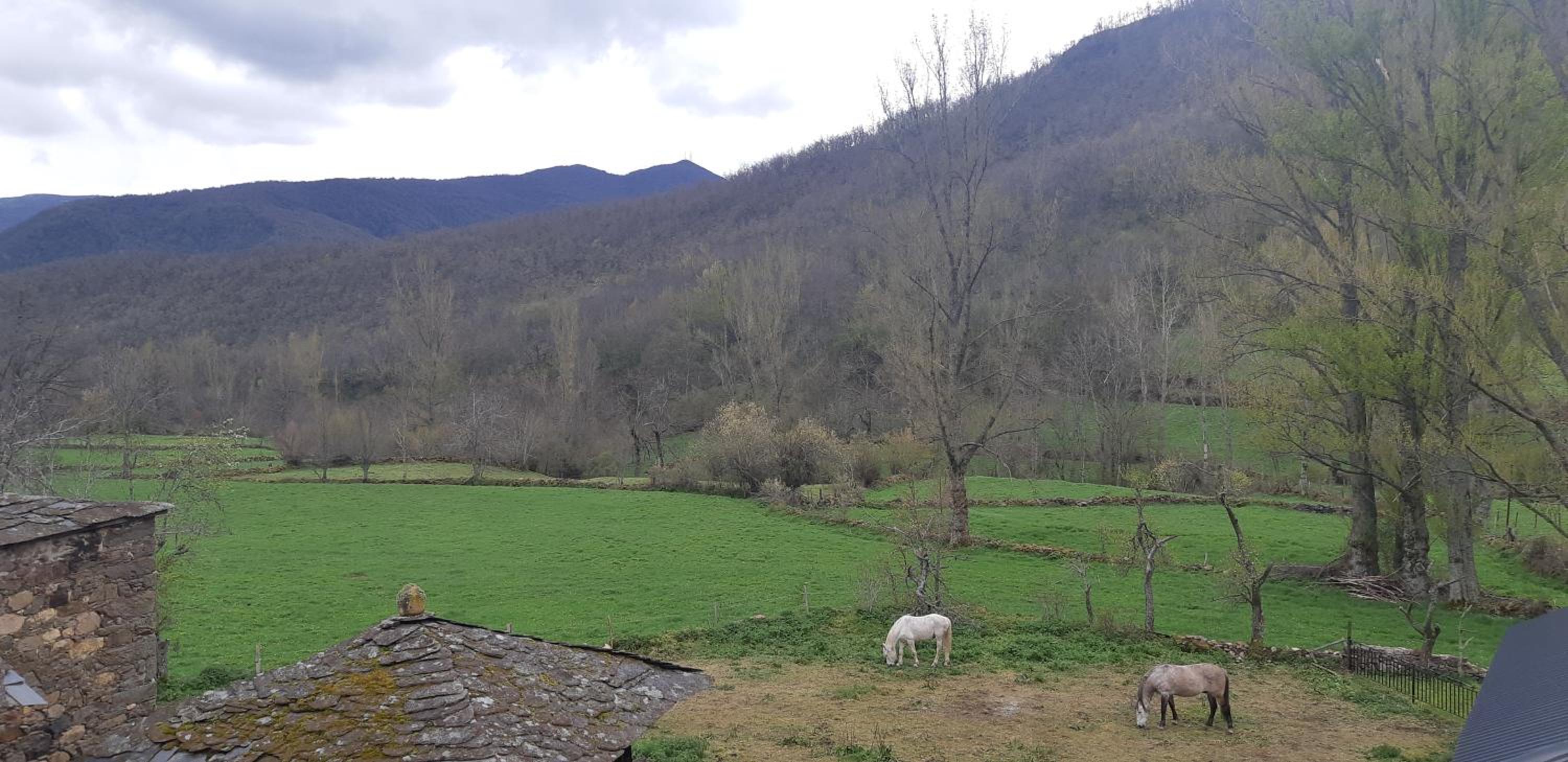 Casa Antonio y Benina