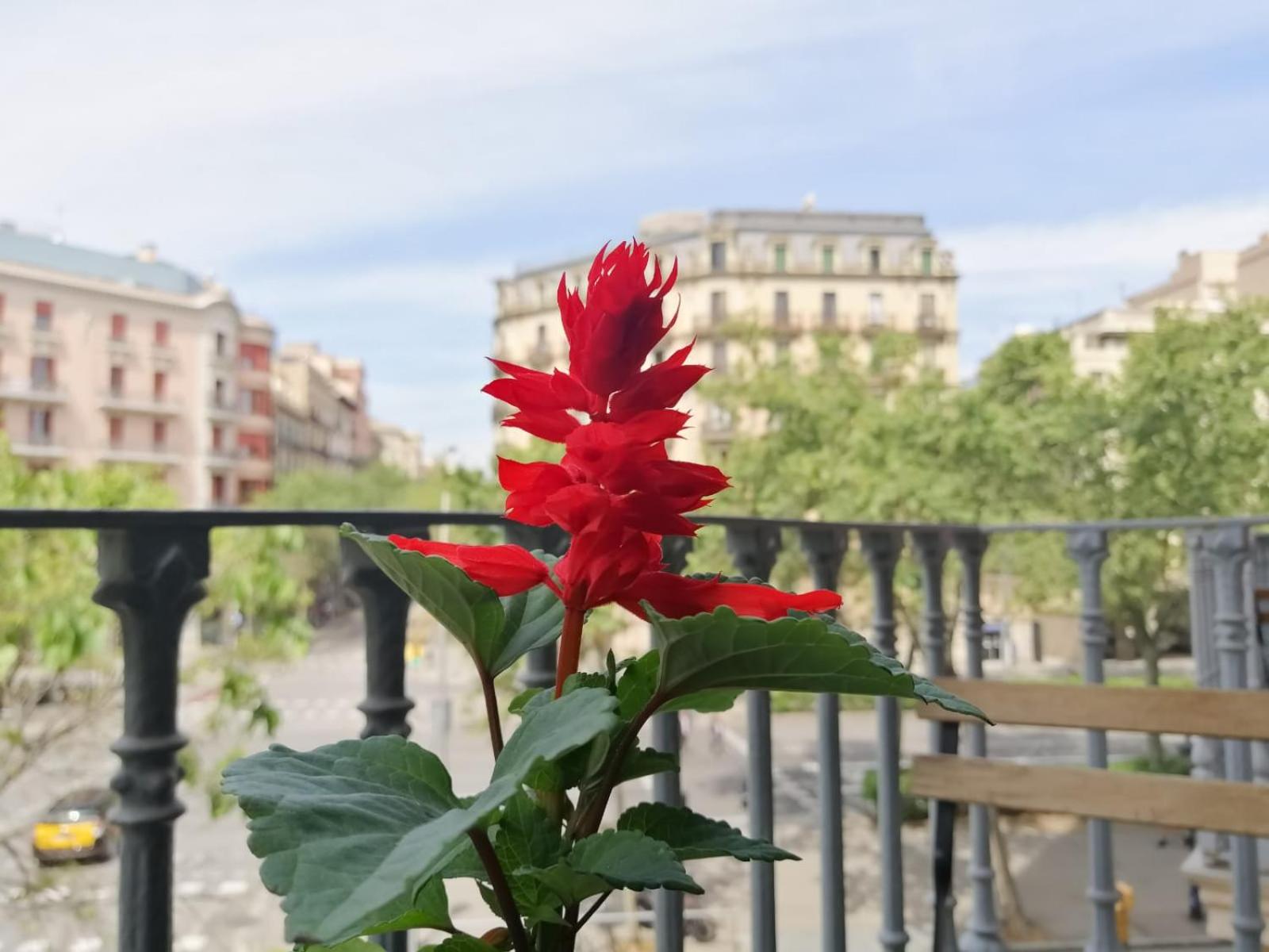 Casa Consell Gran Via, Guest House