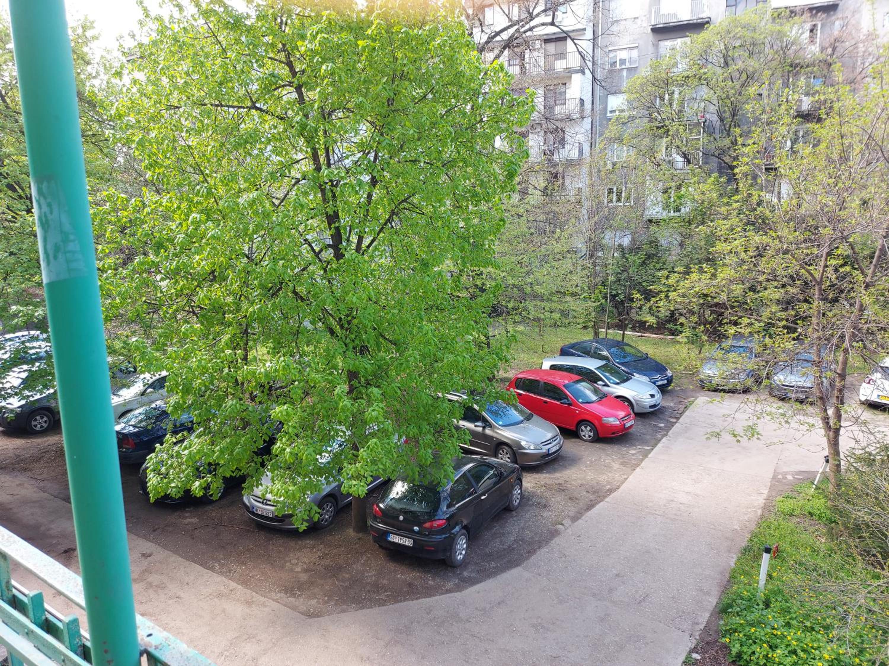 Photo 35