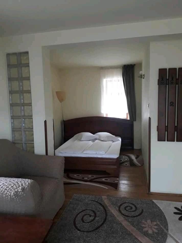 Vila Iulia view 2