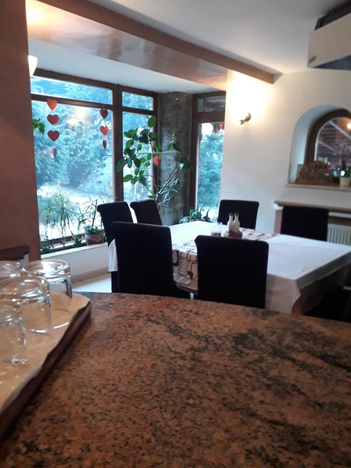 Vila Iulia view 3