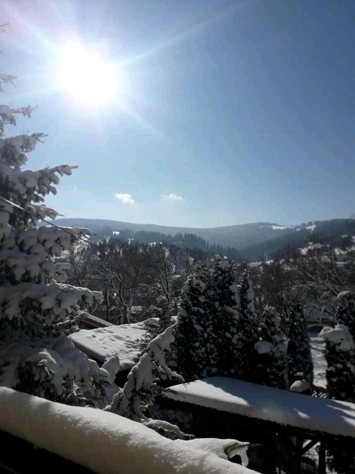 Vila Iulia view 4