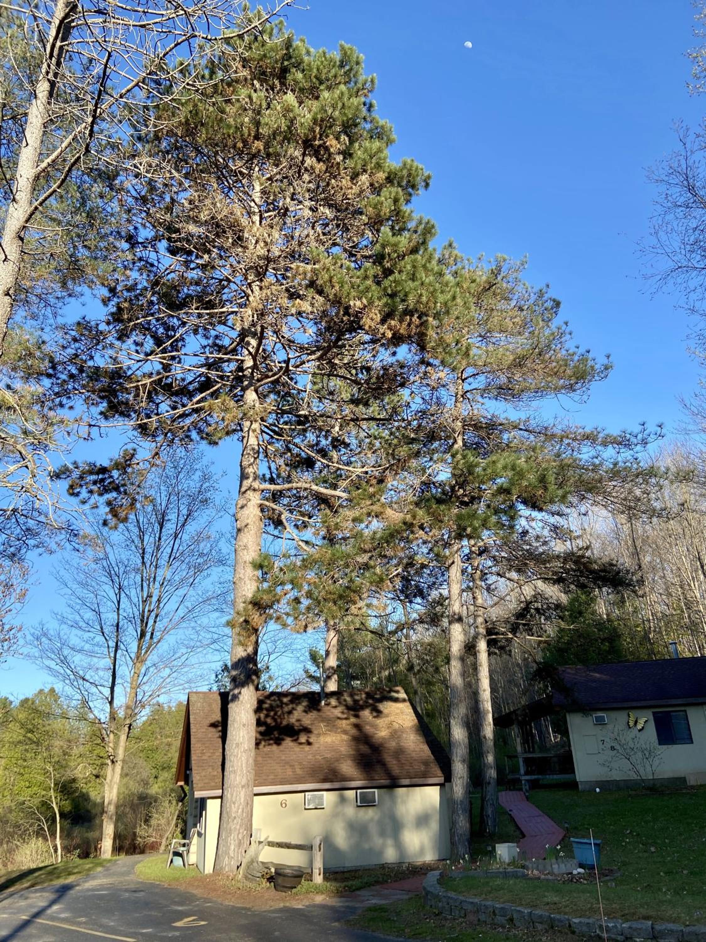Betsie Riverside Resort