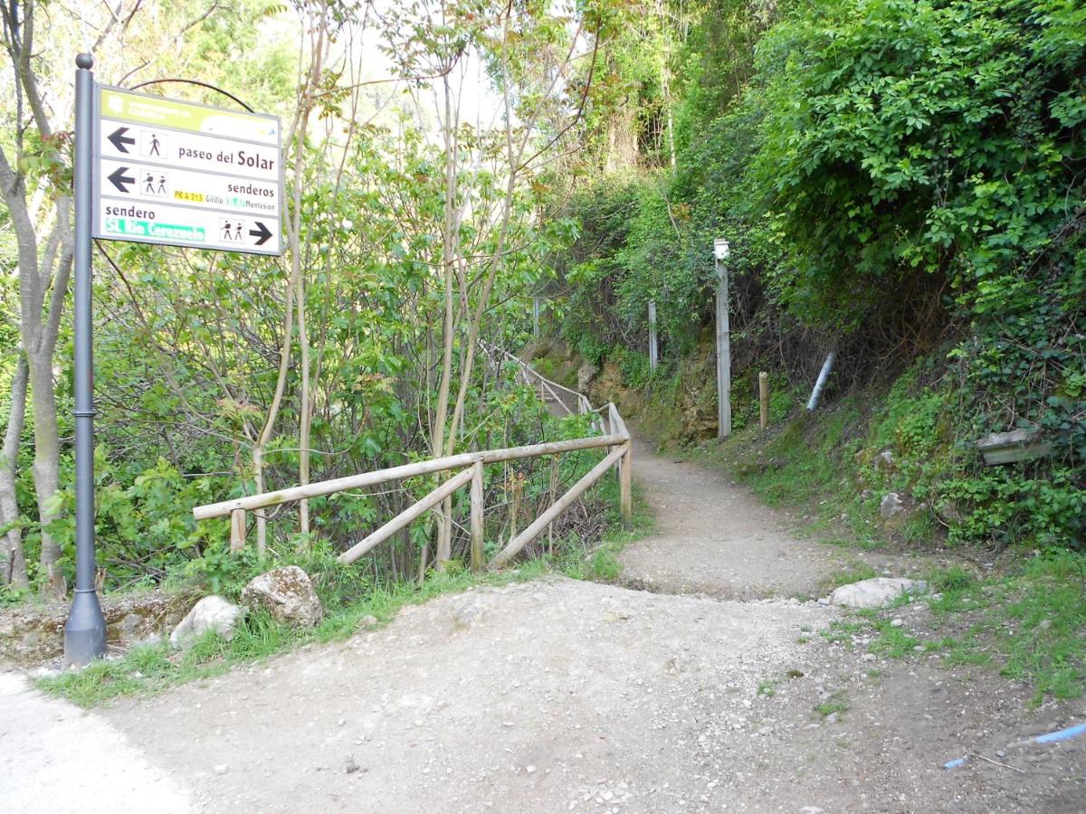 Photo 30