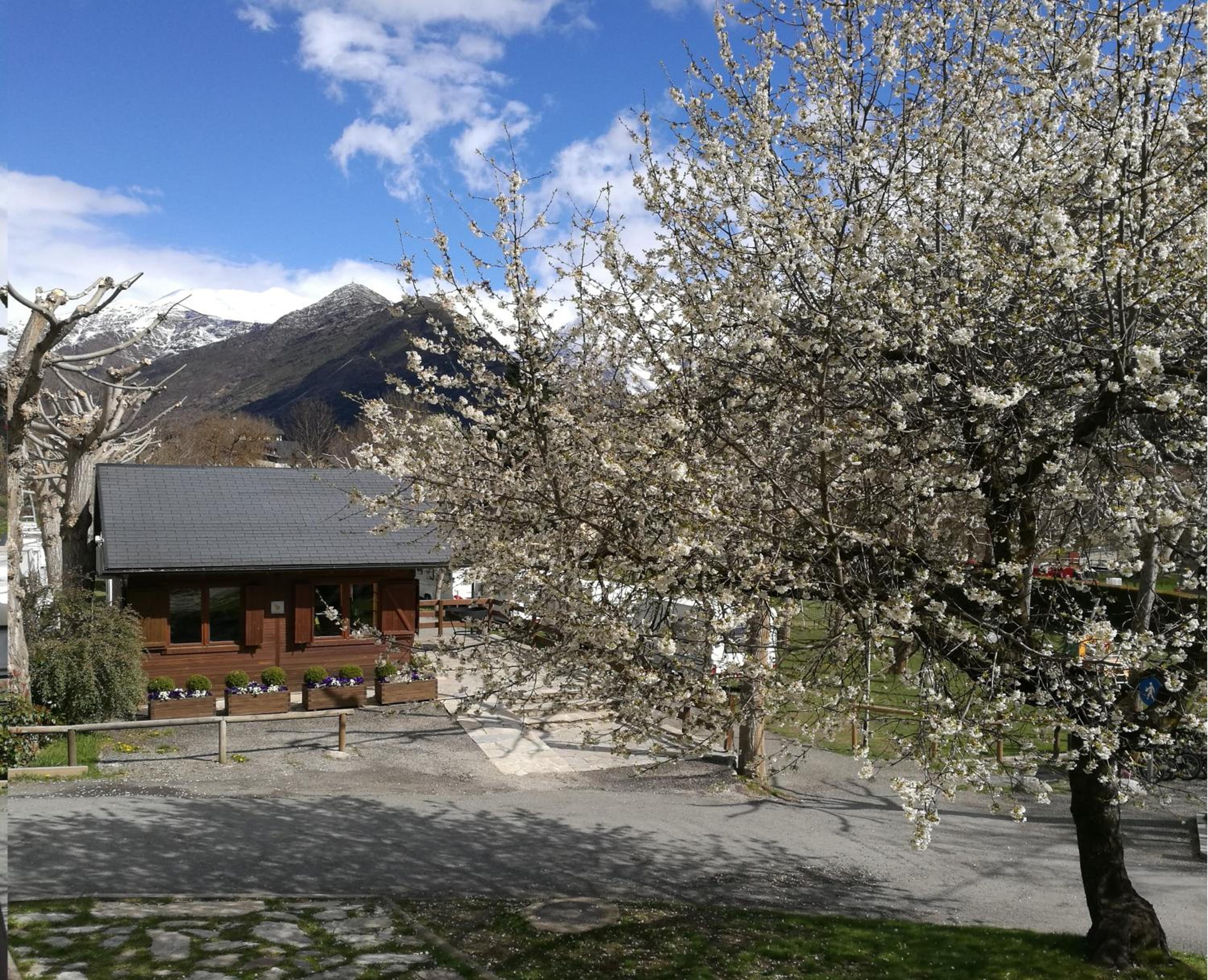 Bungalows Nou Camping
