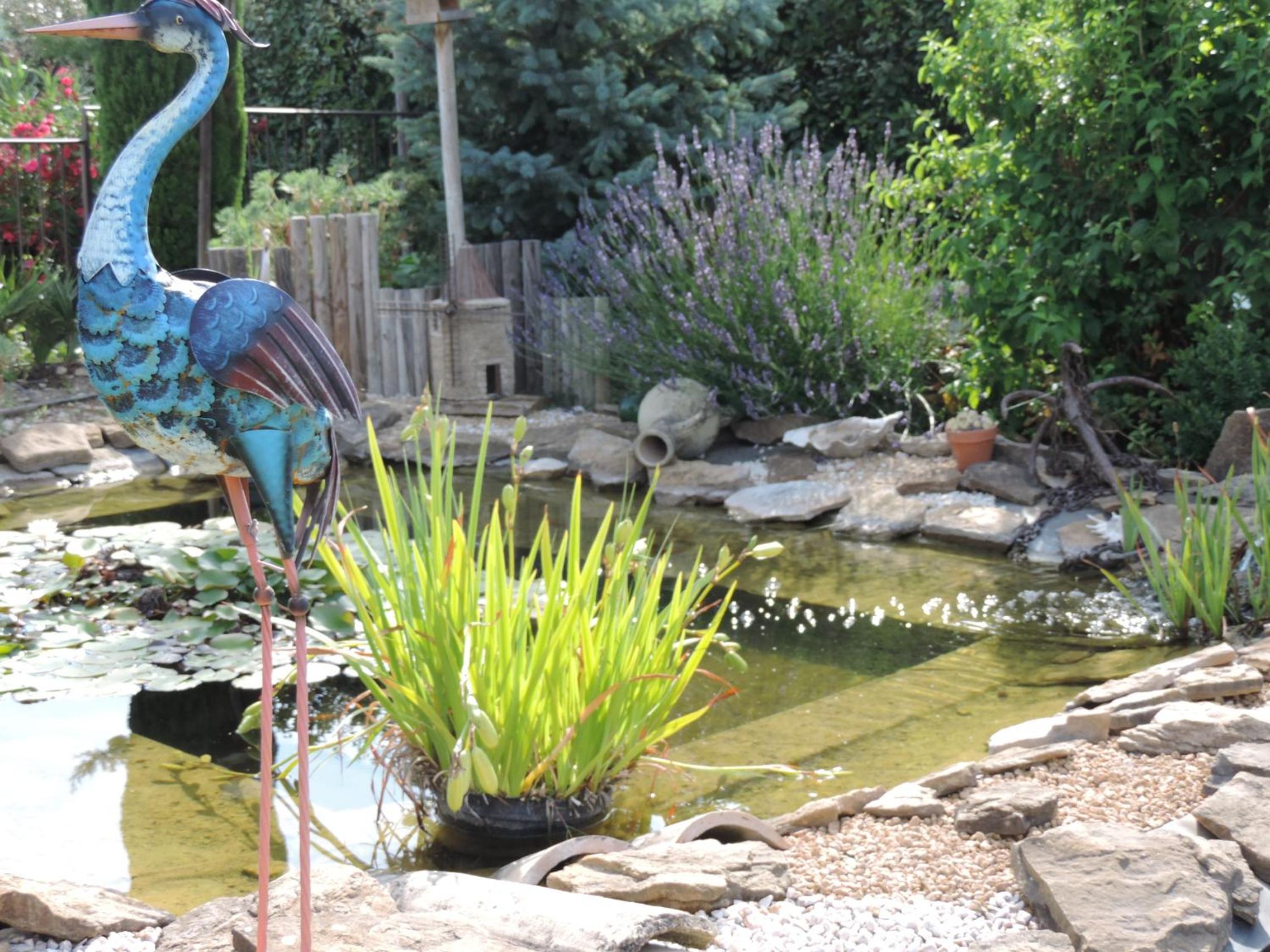 Photo 42