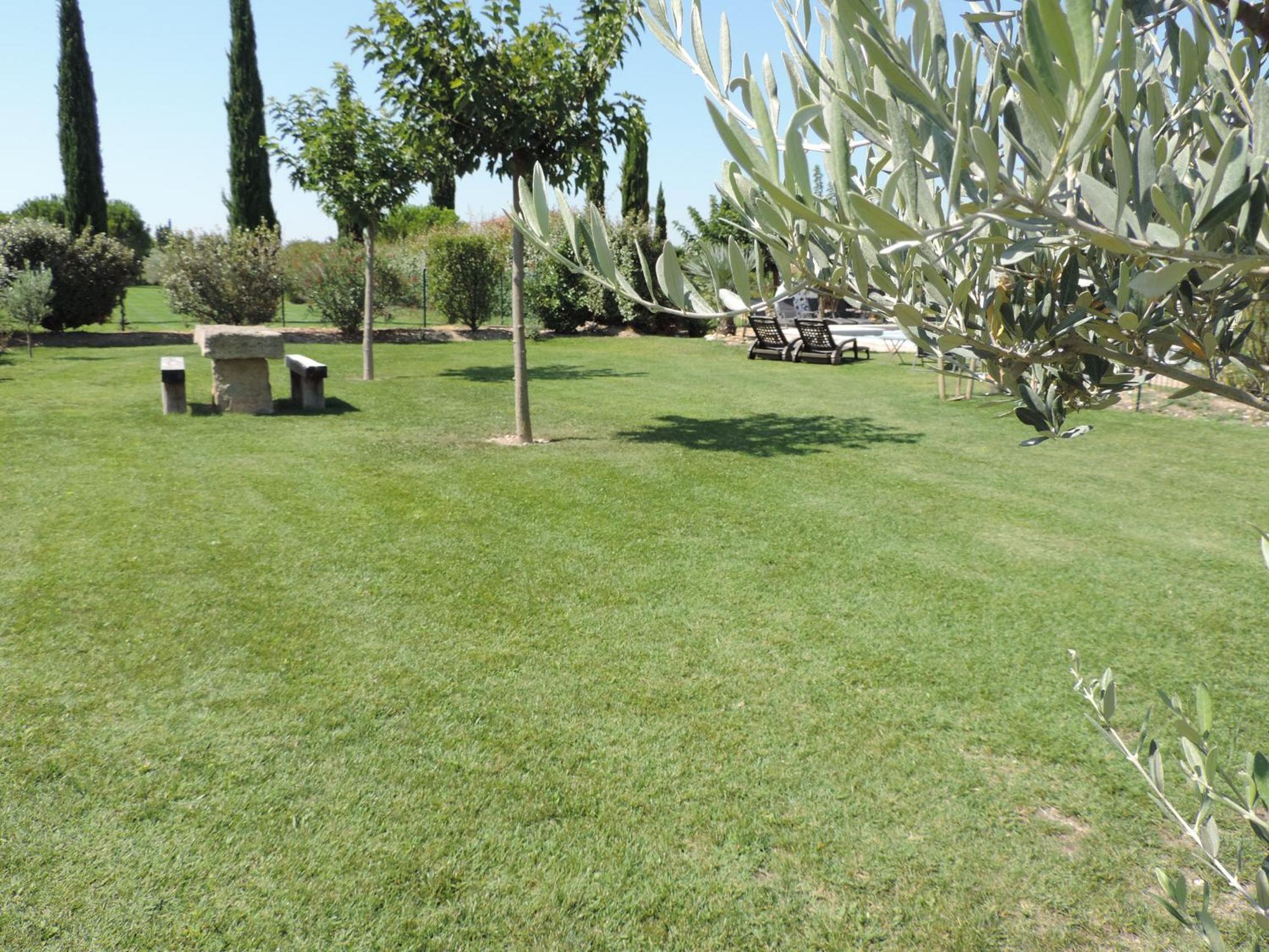 Photo 29