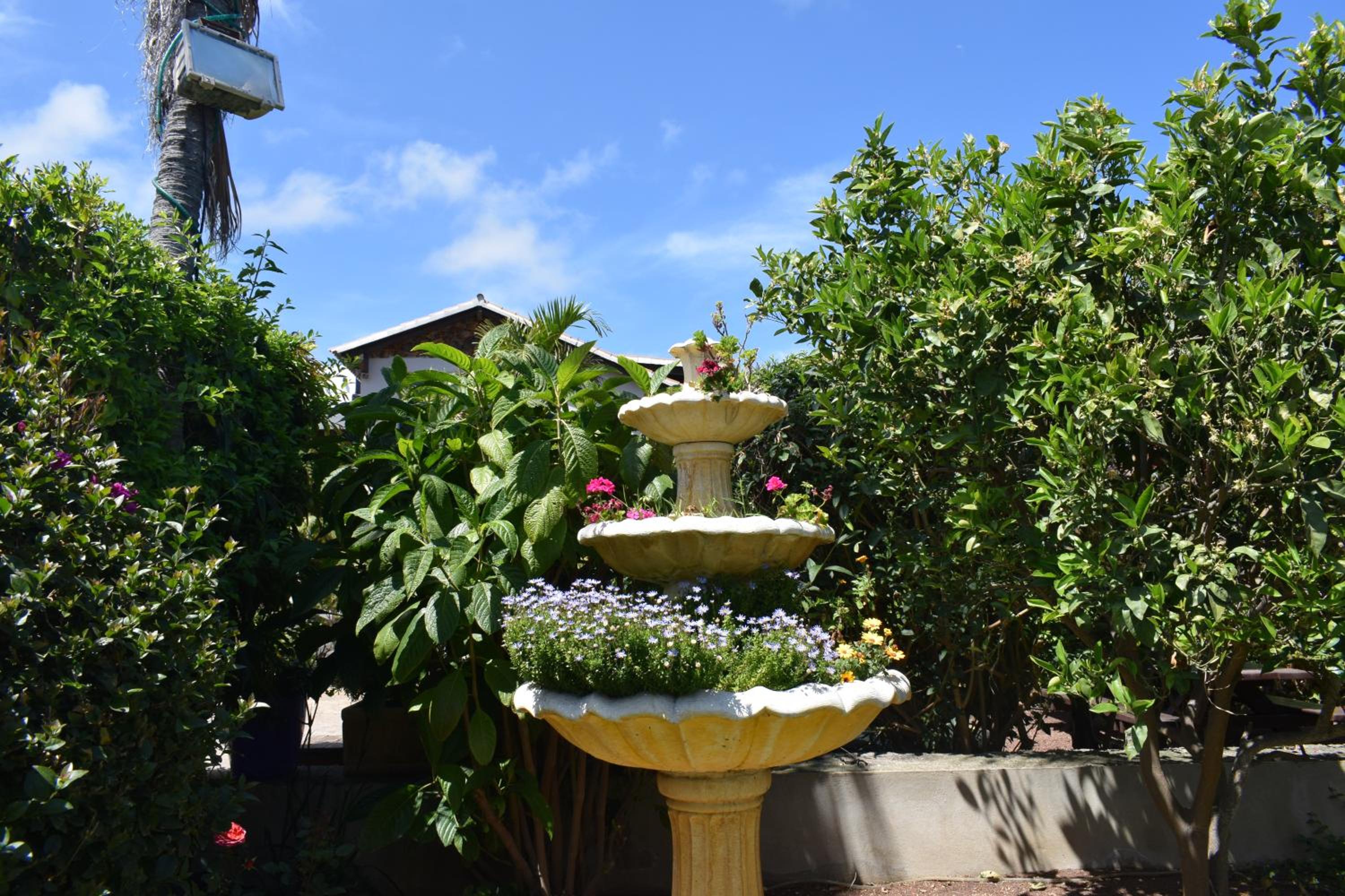 Photo 41