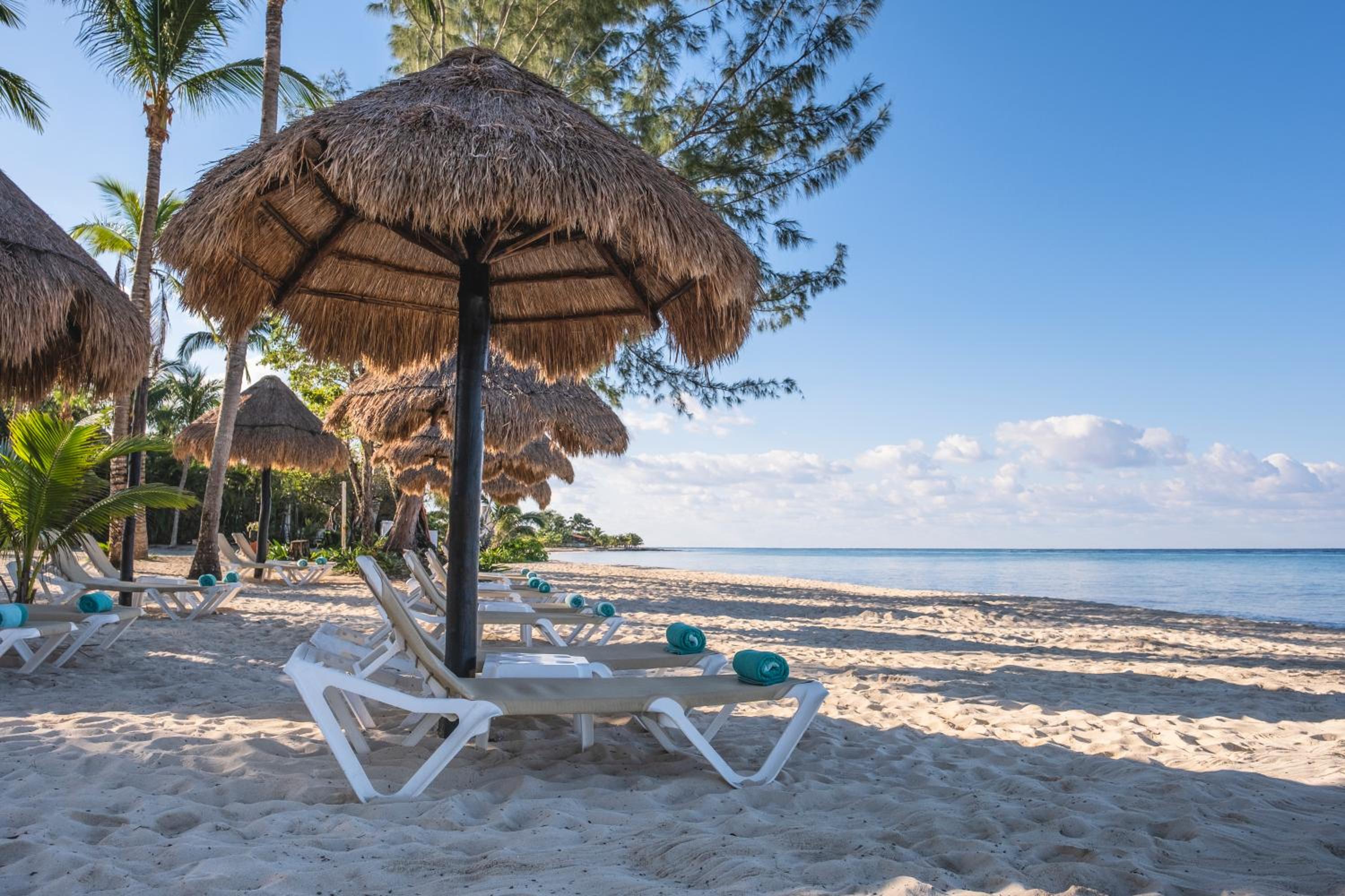 Iberostar Waves Cozumel - All Inclusive - Property Image 21