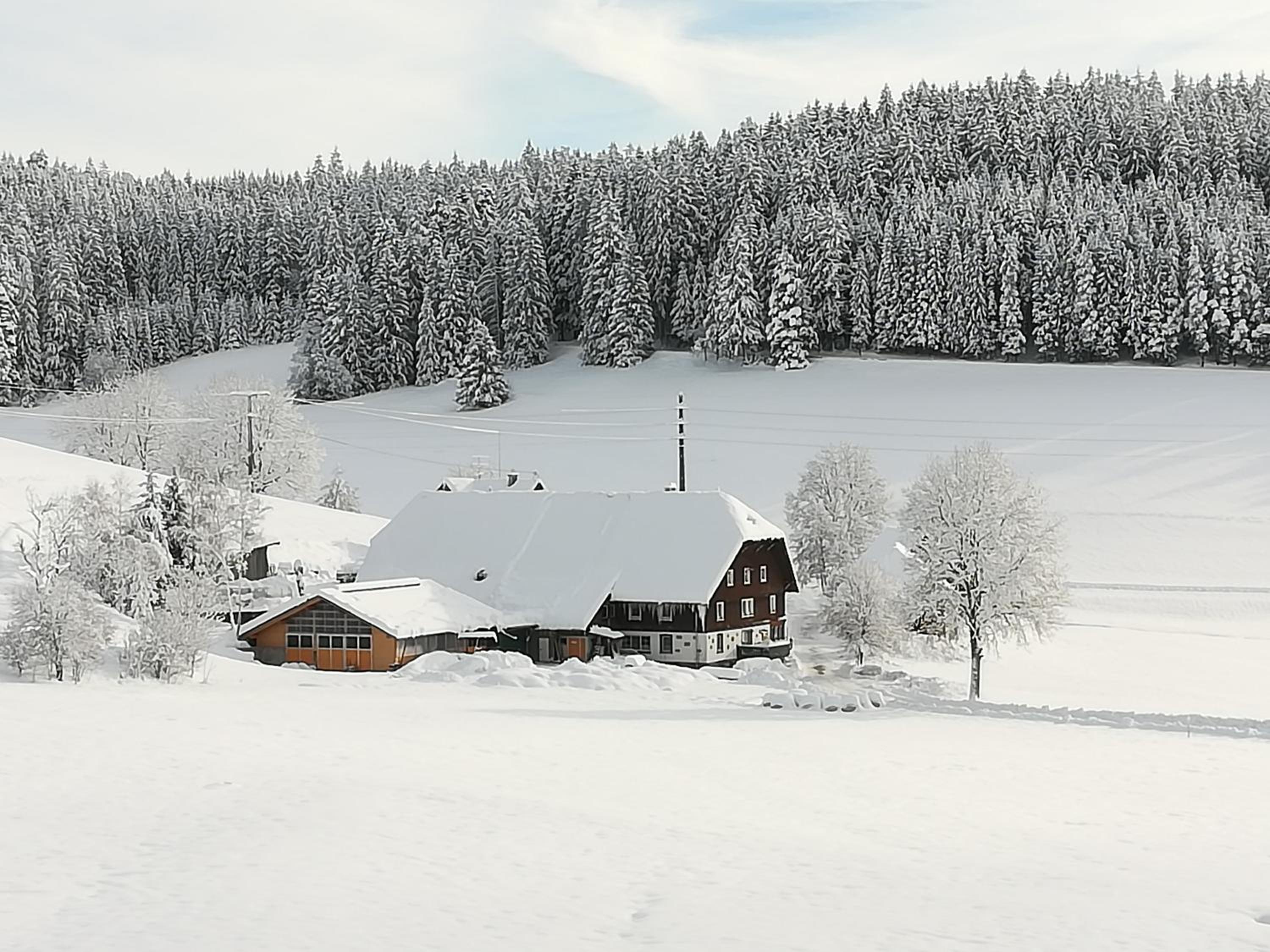 Gasthaus Pension Donishäusle