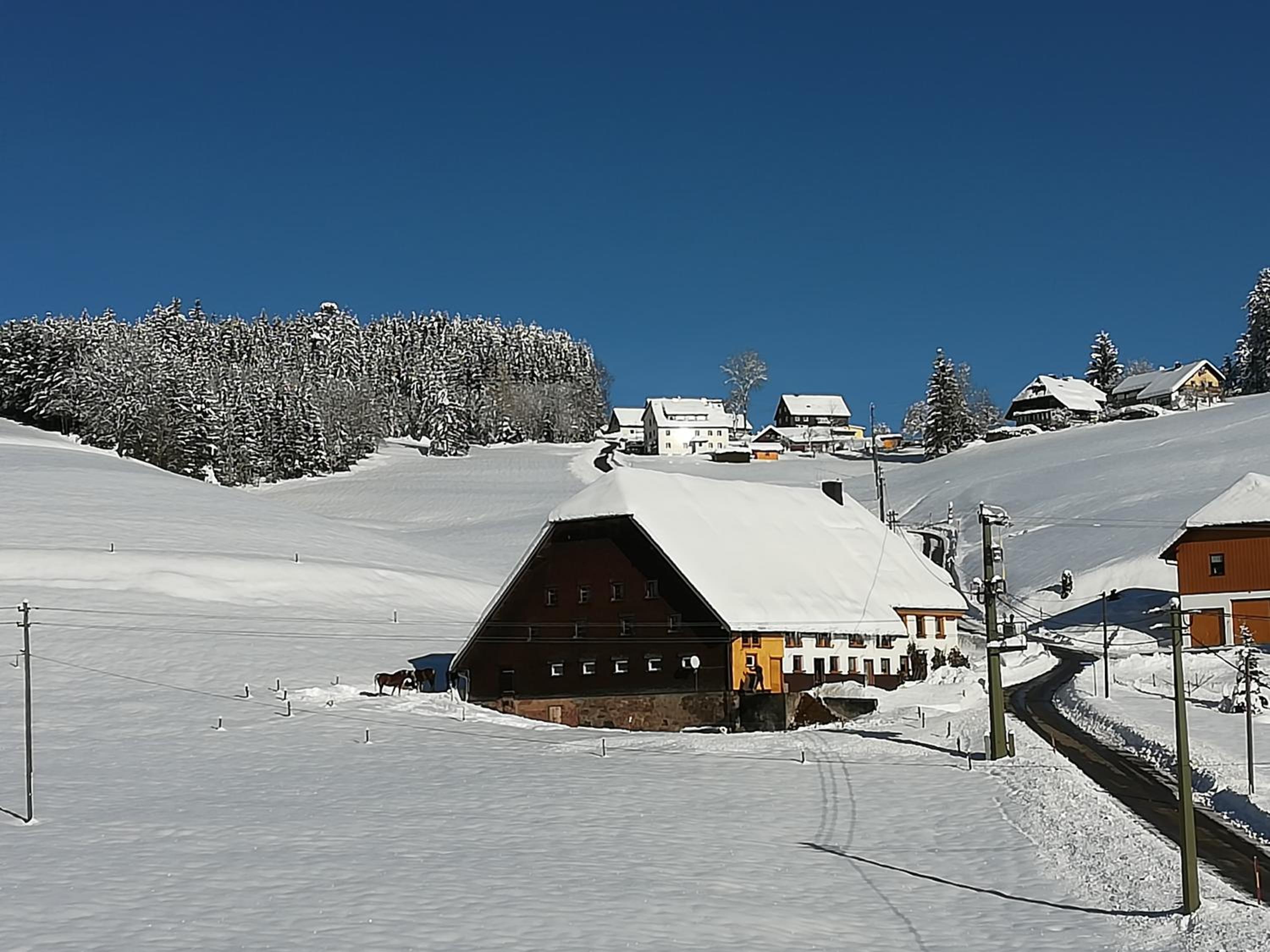 Gasthaus Pension Donishäusle