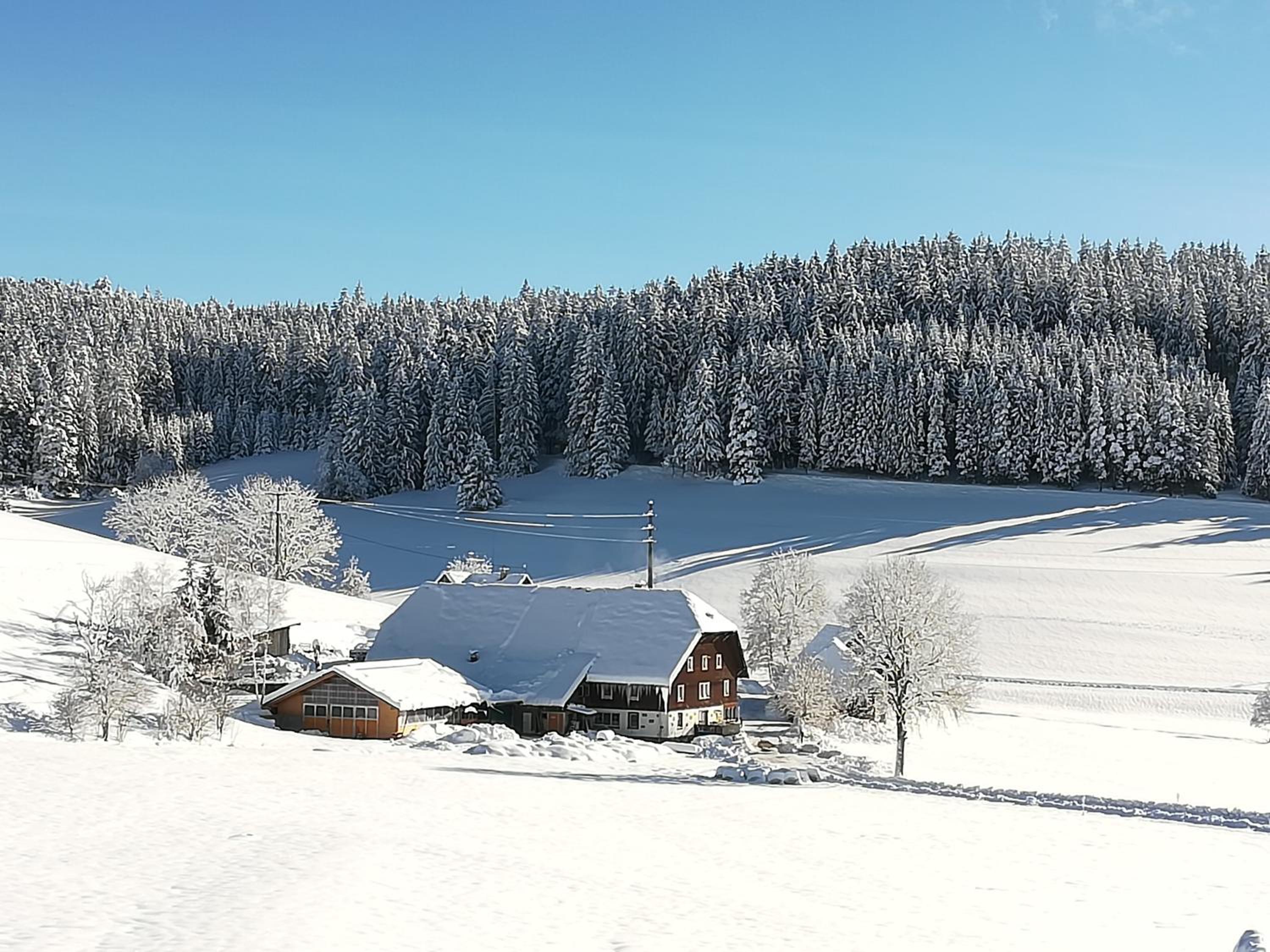 Gasthaus Pension Donishäusle