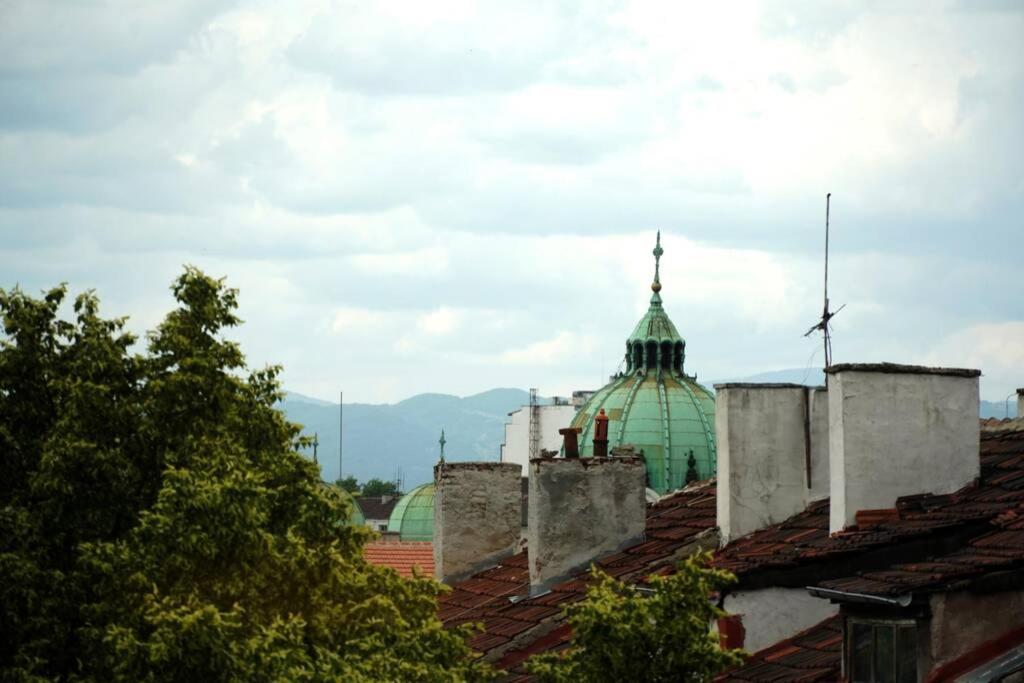 Photo 11