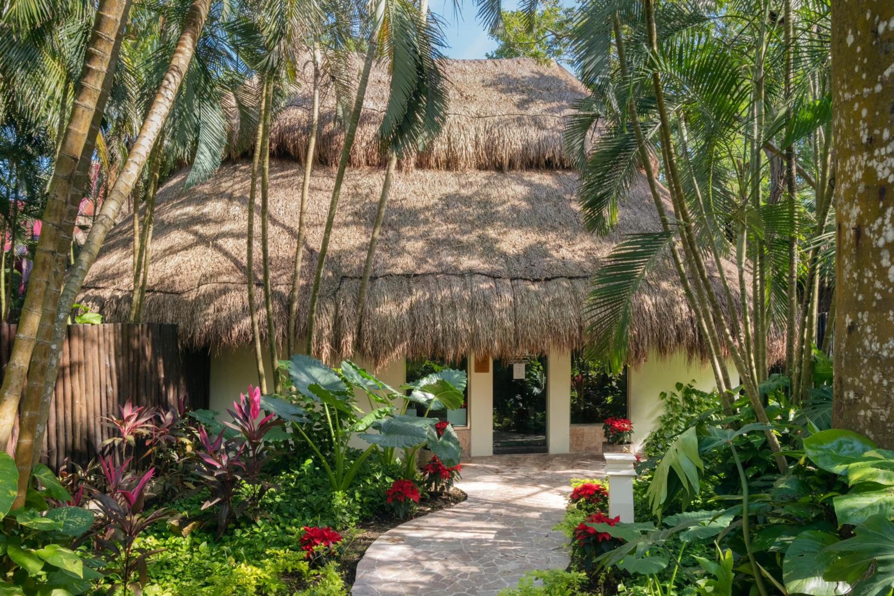 Cozumel Vacations - Iberostar Waves Cozumel - All Inclusive - Property Image 5