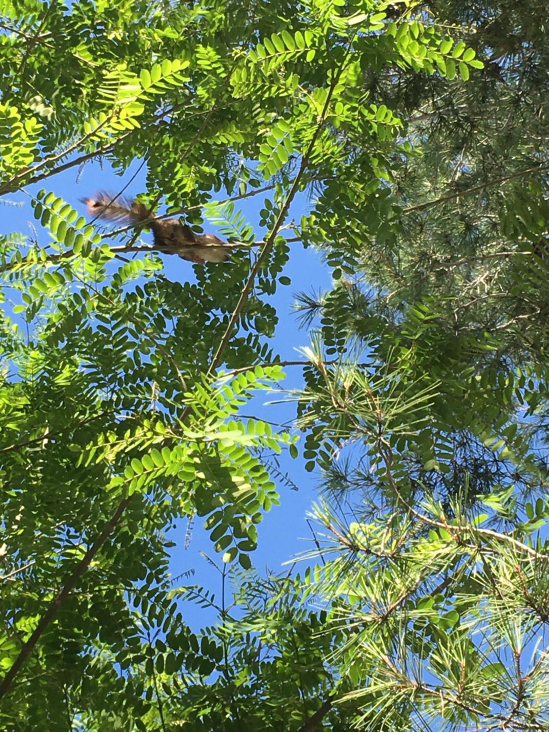 Murcia Vacations - Casa Encina - Property Image 8