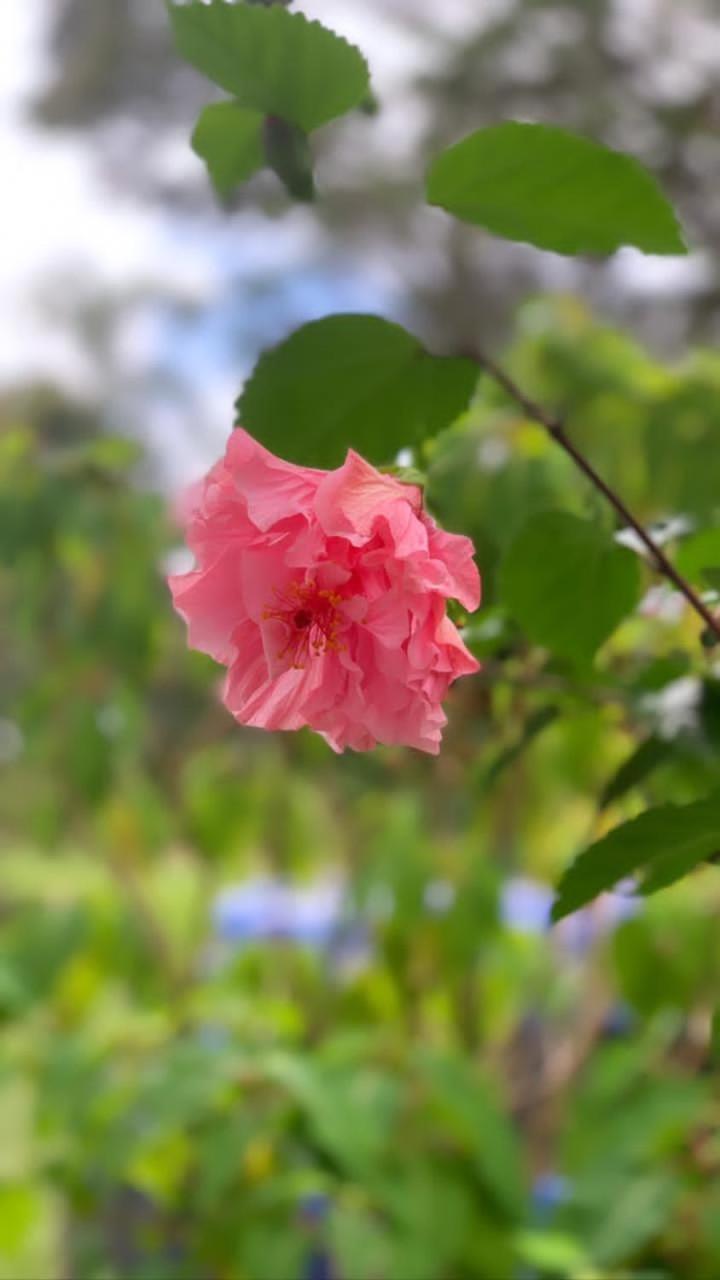 Sítio Lavras do Abade