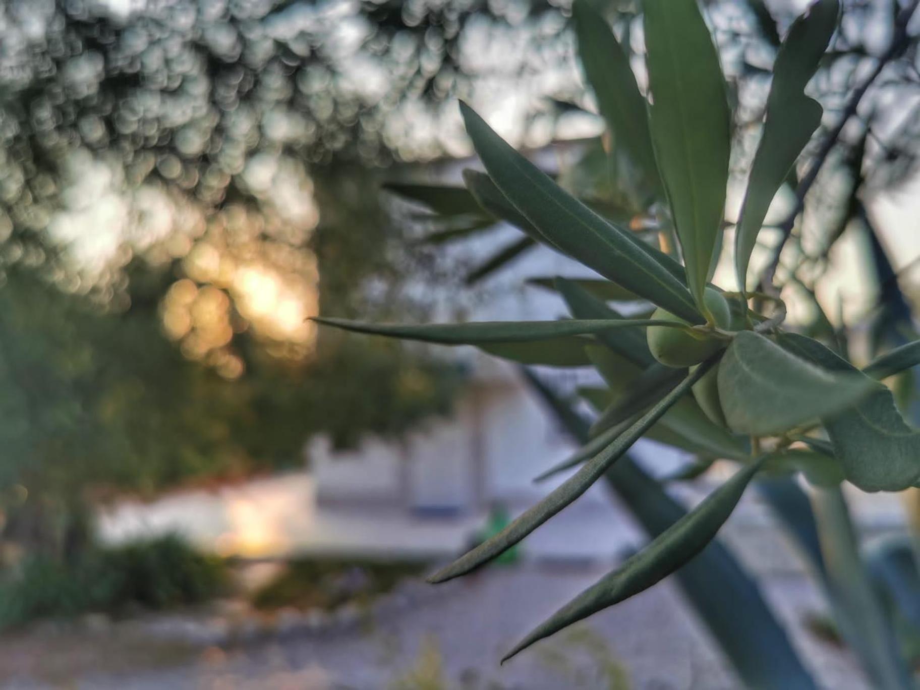 B&B Villa Mediterranea with private parking