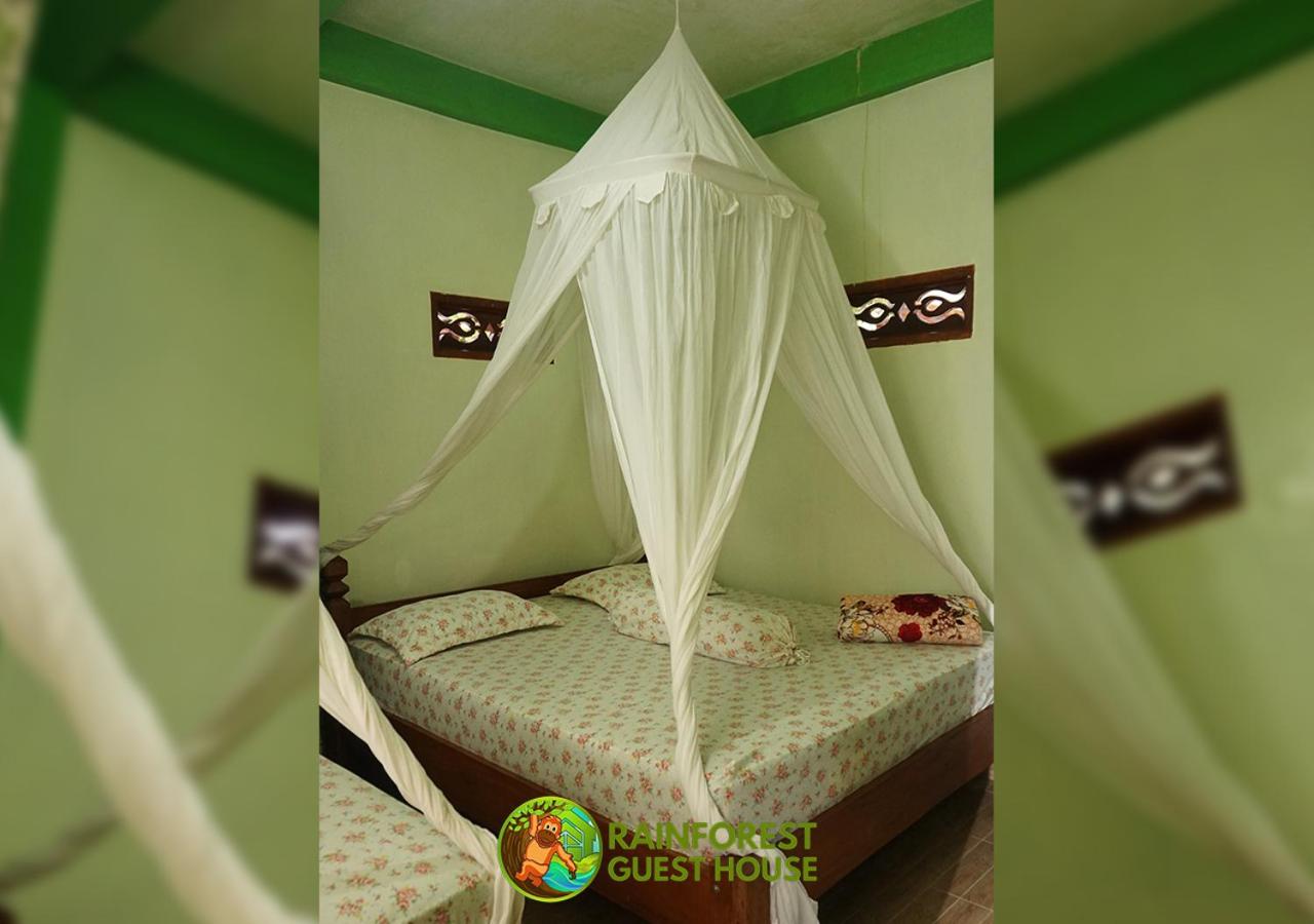 Rain Forest Guest House and Jungle Trekking view 2