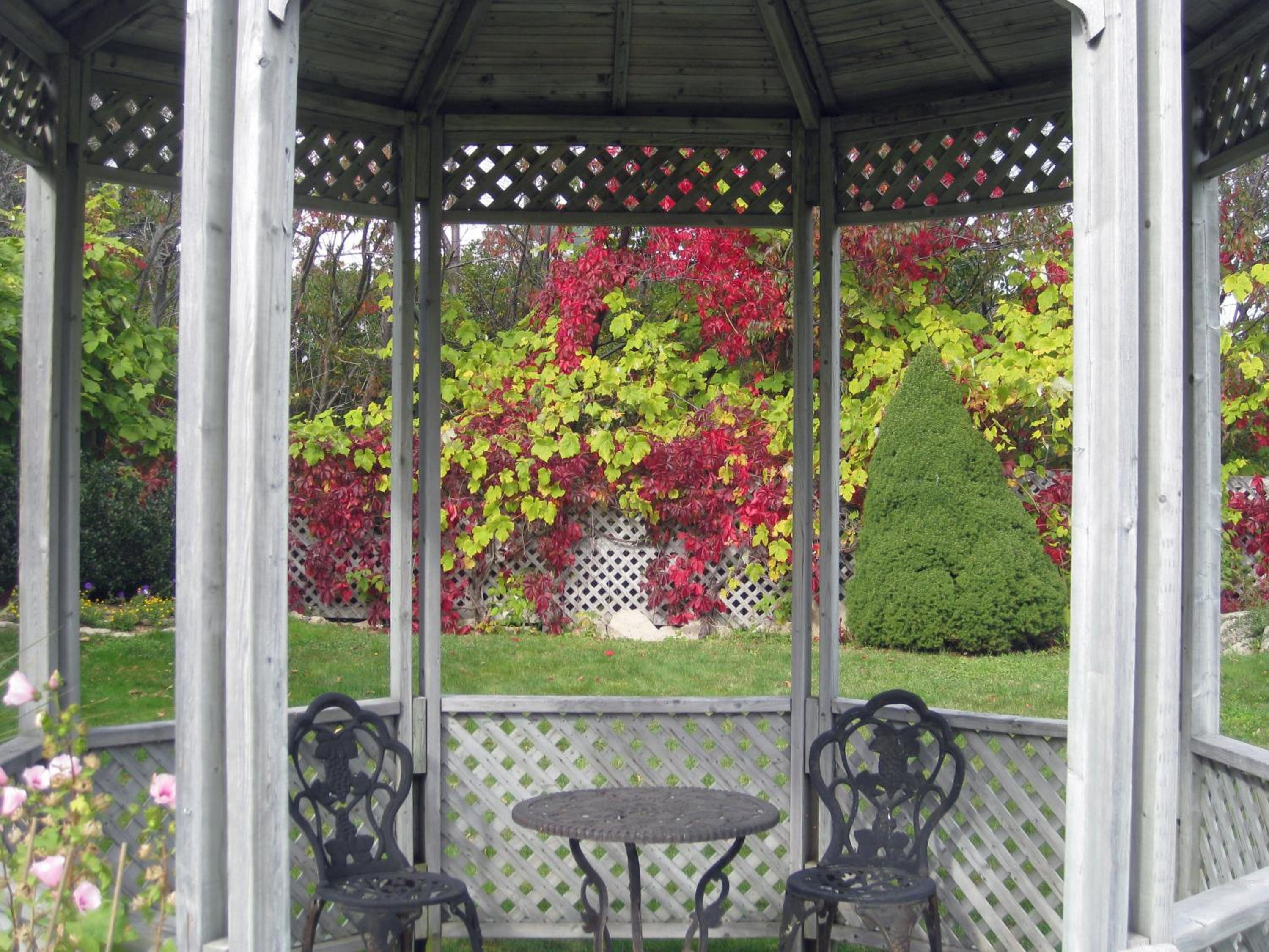 outdoor BBQ area