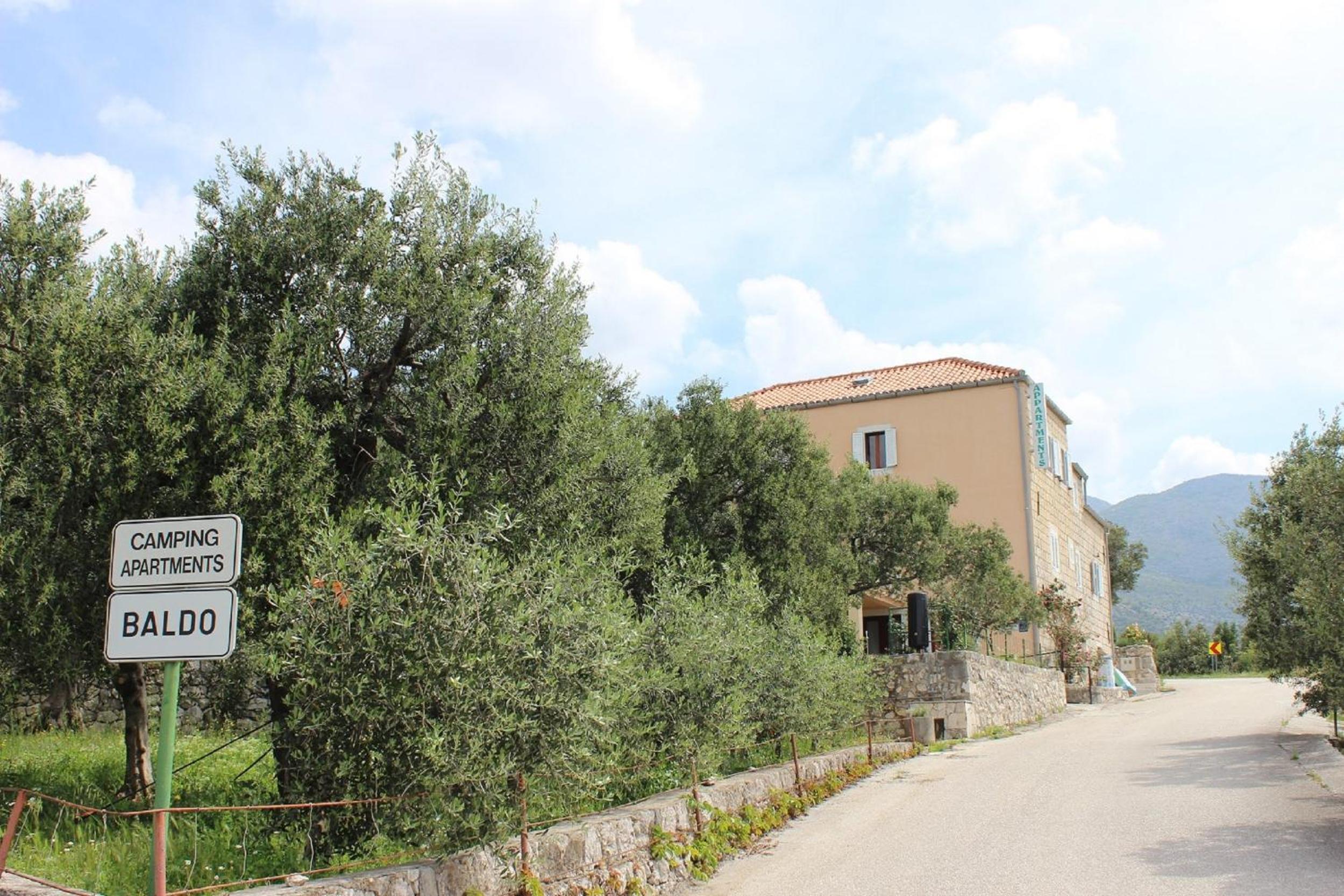 Photo 42