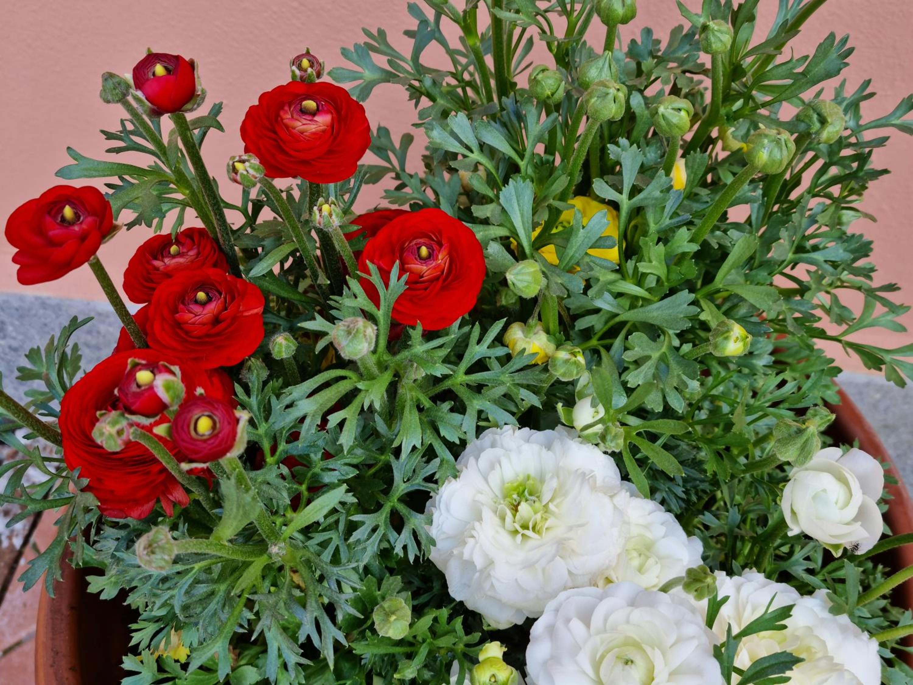 Il Casale nel Parco Guesthouse
