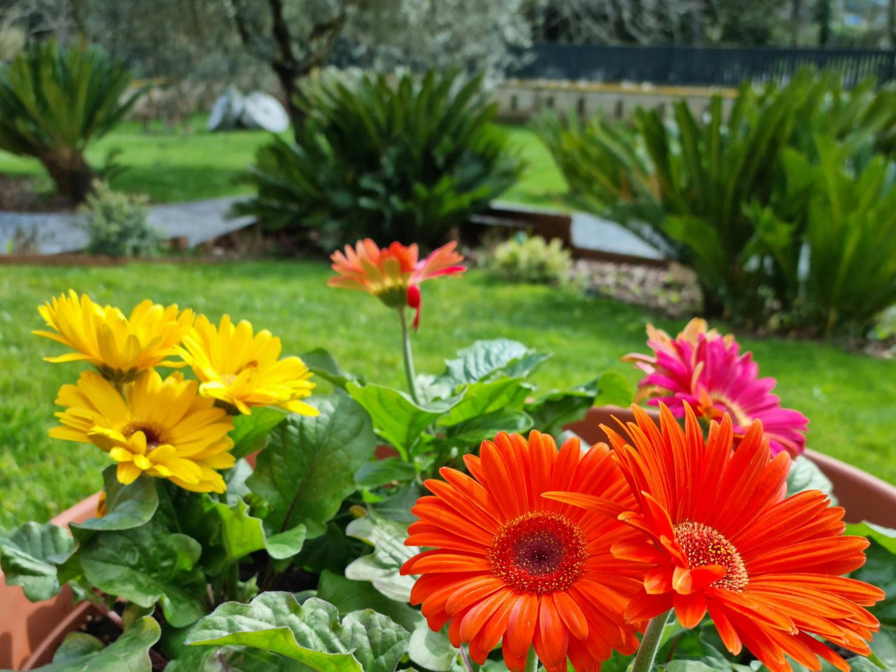 Il Casale nel Parco Guesthouse