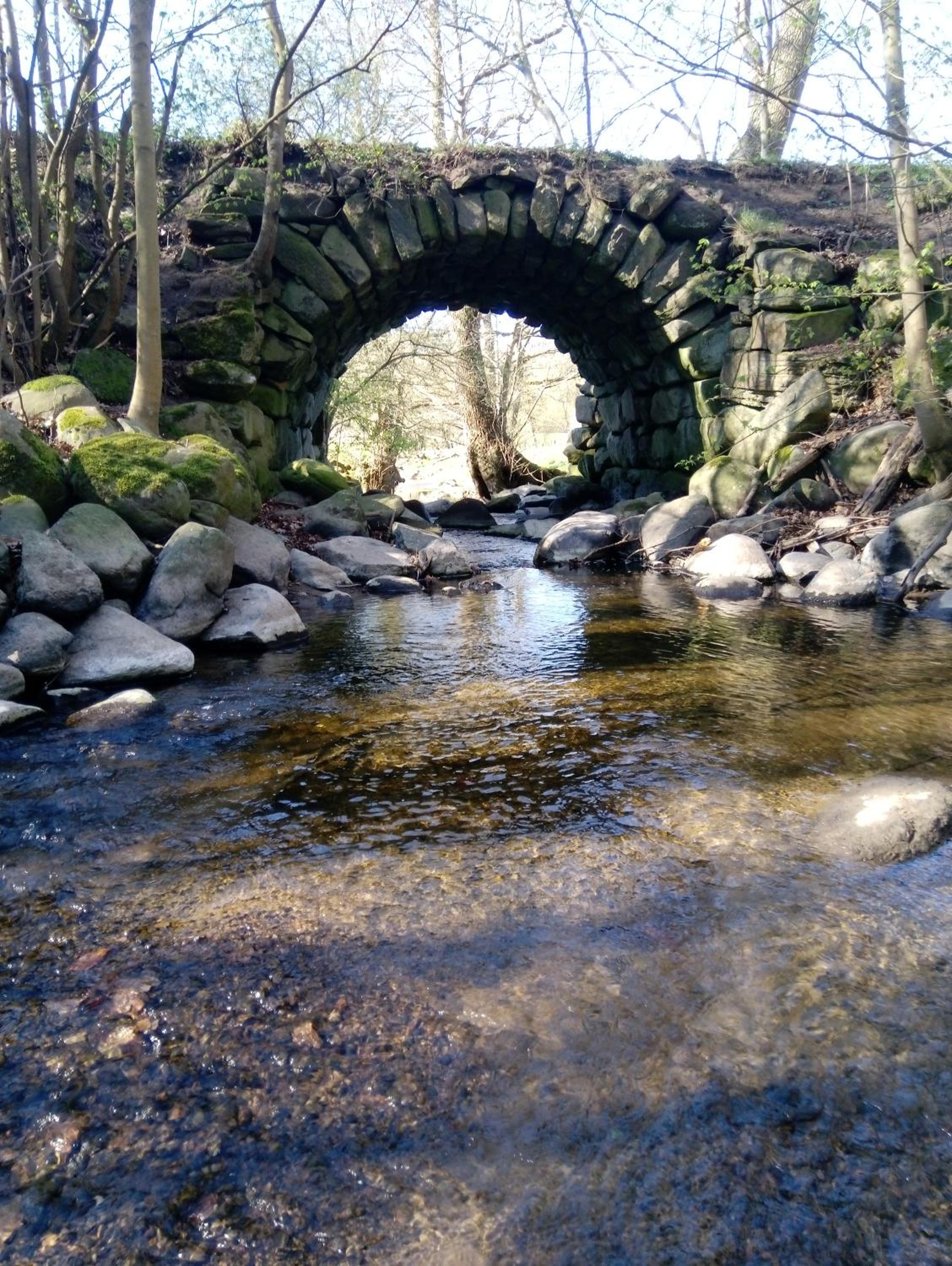 Photo 36