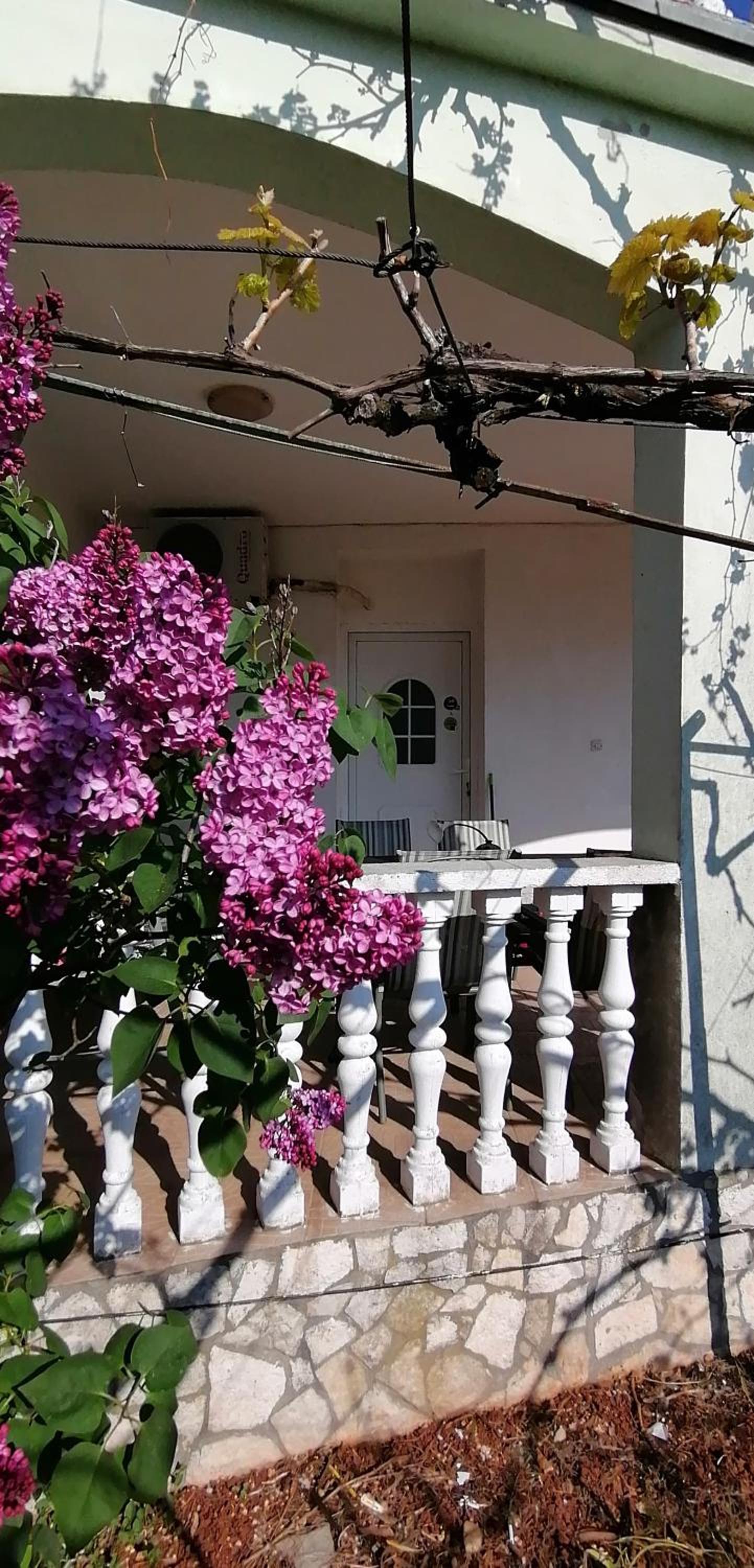 Olivera Apartments view 5