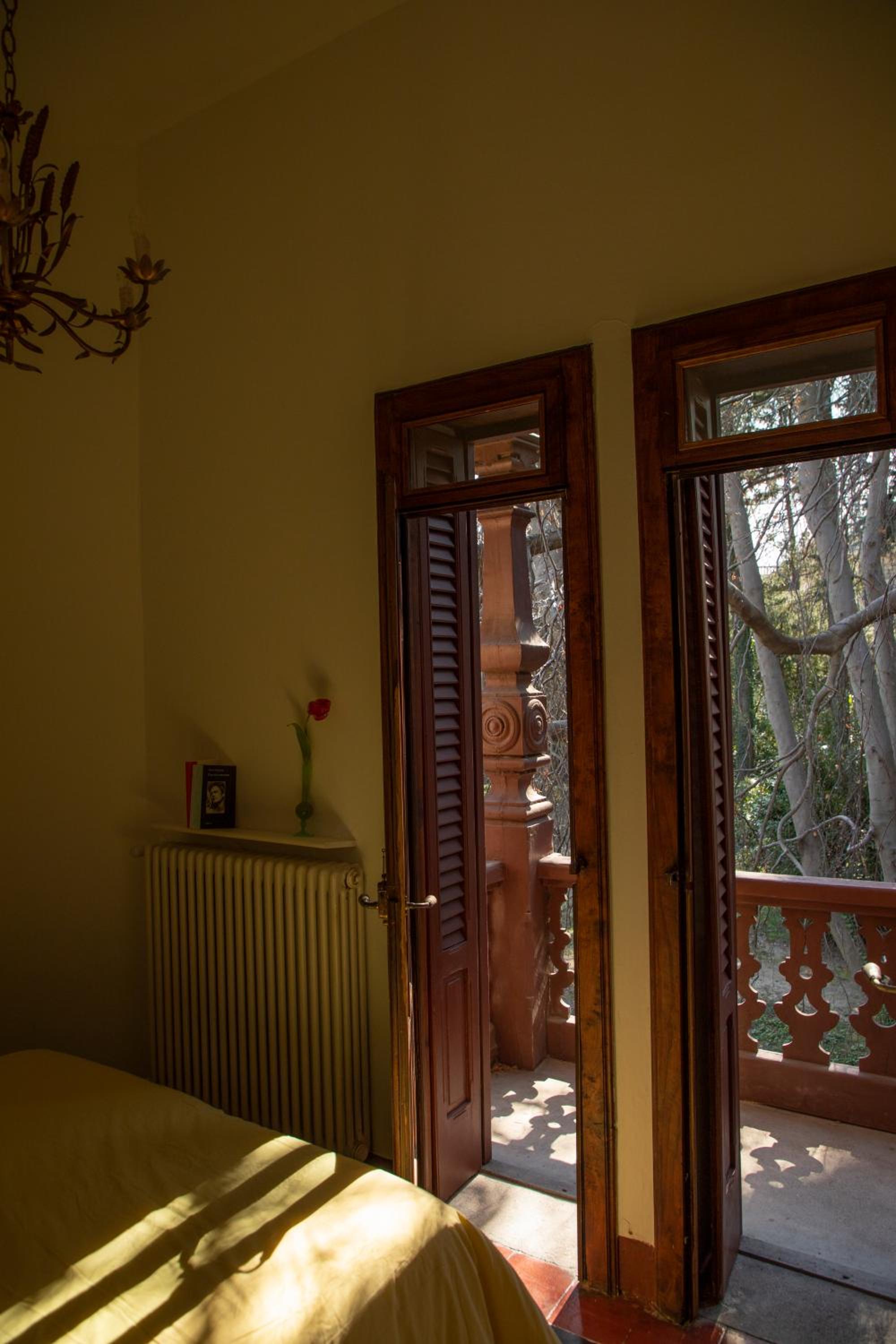 Photo 40