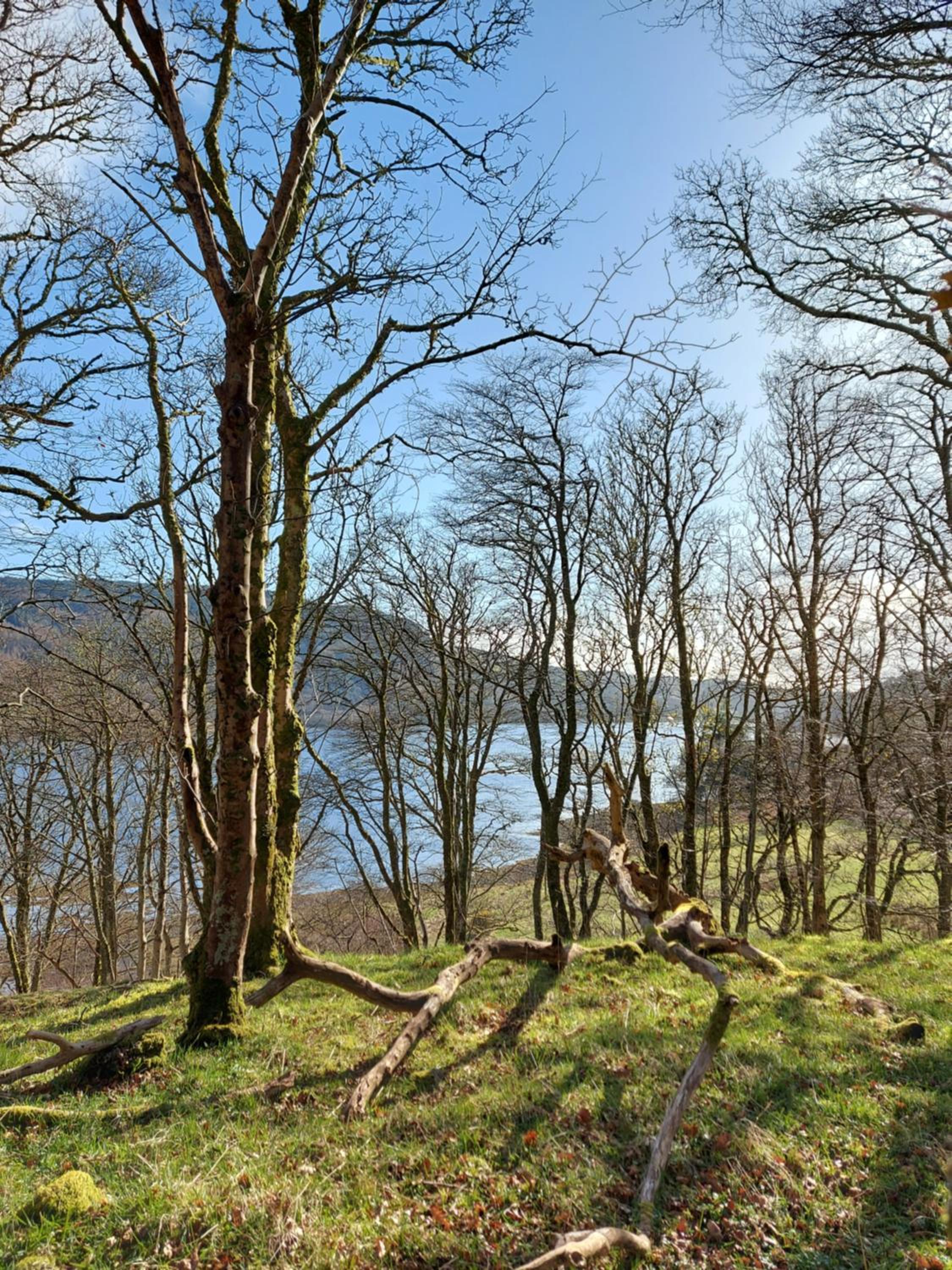 Garragh Mhor