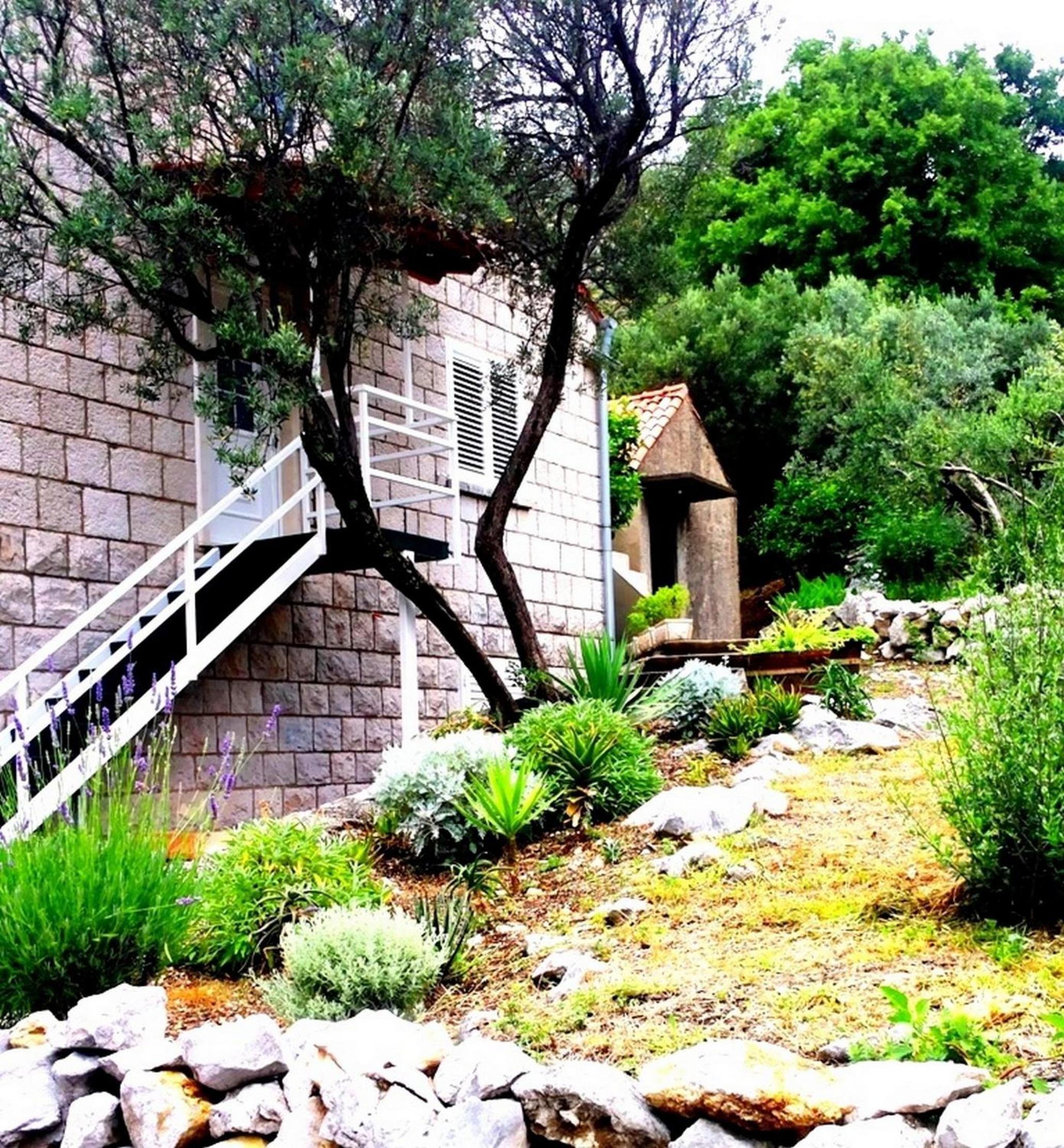 Apartments Lina