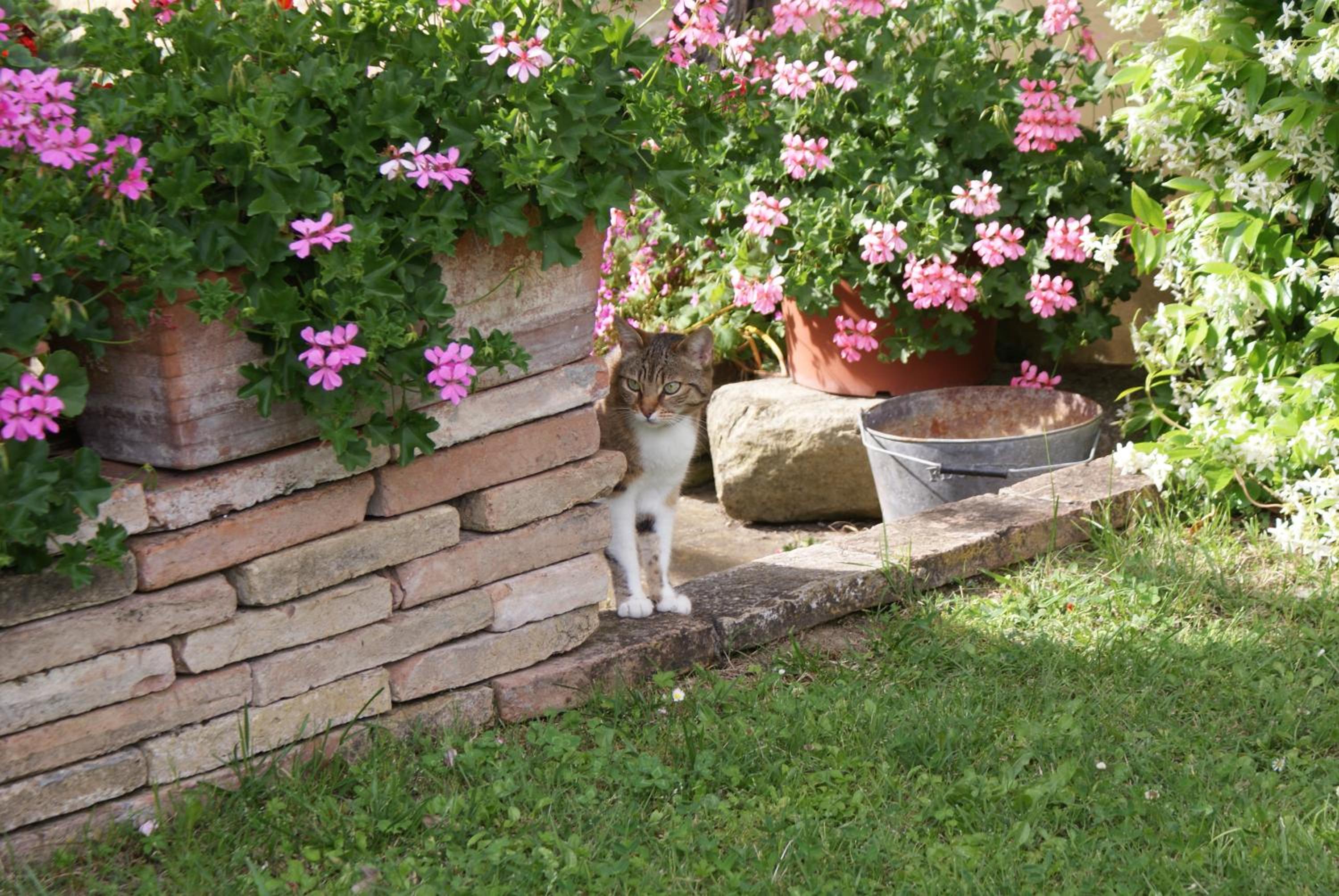 Photo 32