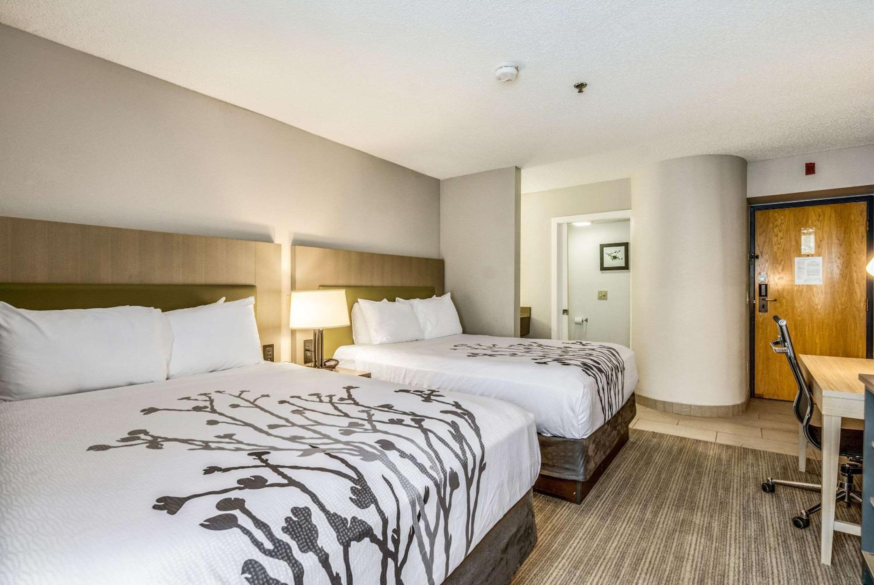 Sleep Inn Fort Mill near Carowinds Blvd, Photo 21