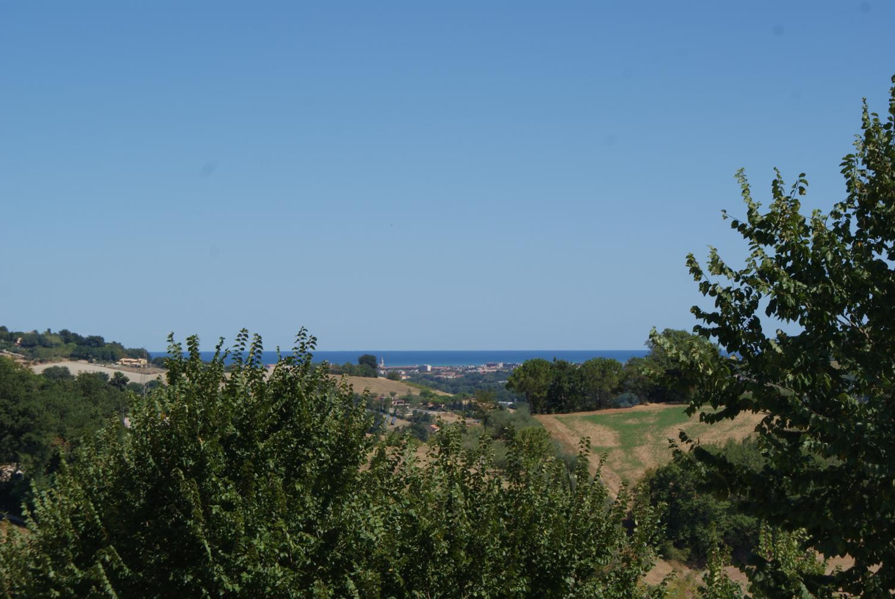 Photo 45